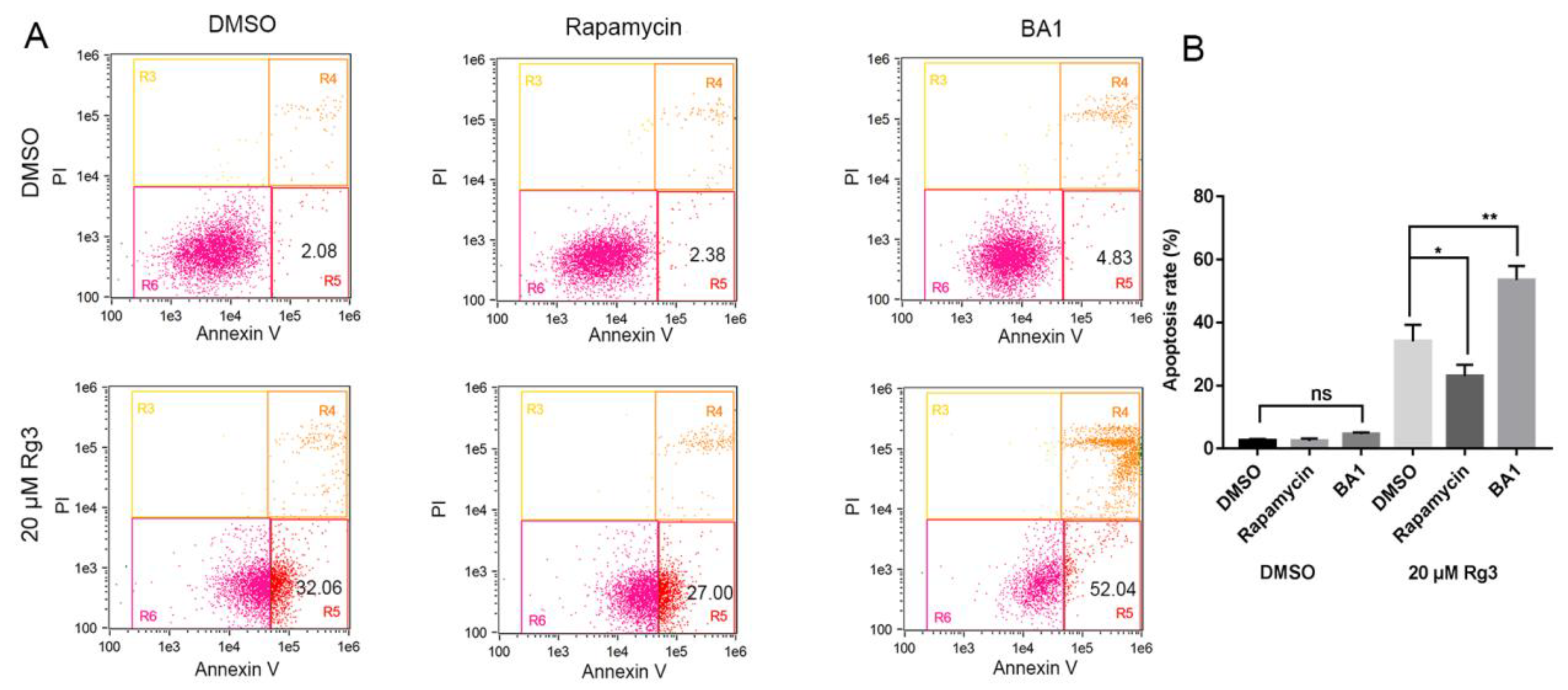 Molecules 24 03655 g005