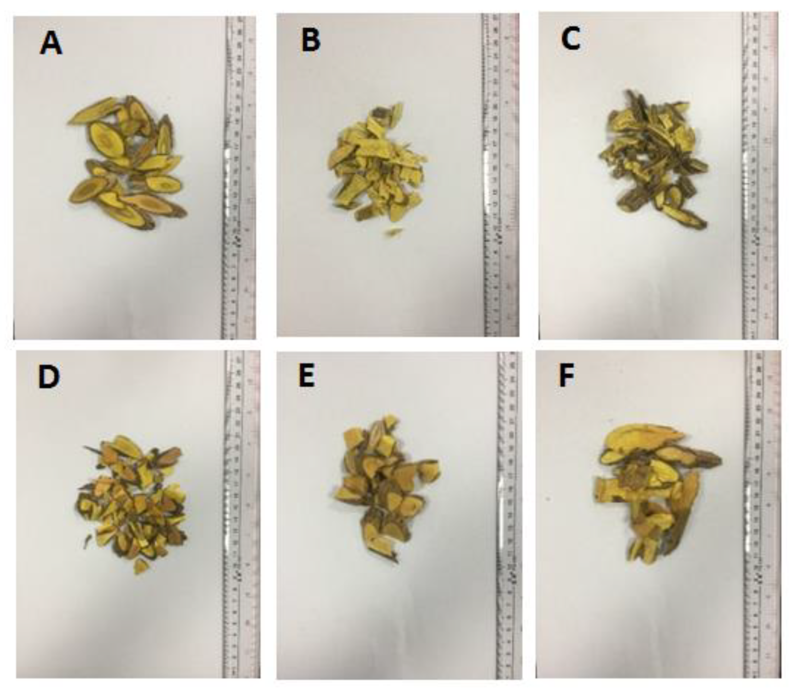 Molecules 24 03684 g001