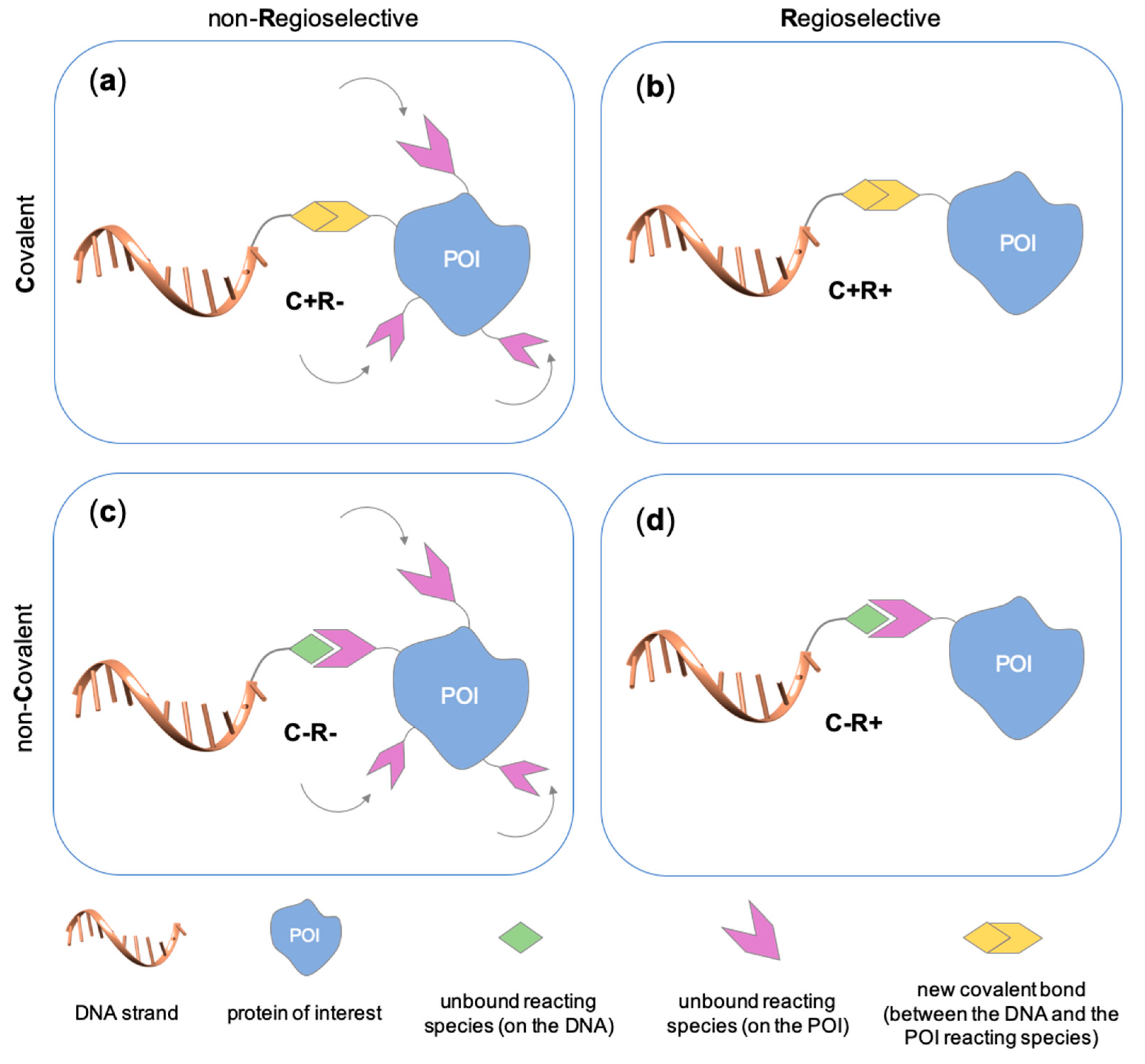 Molecules 24 03694 g002
