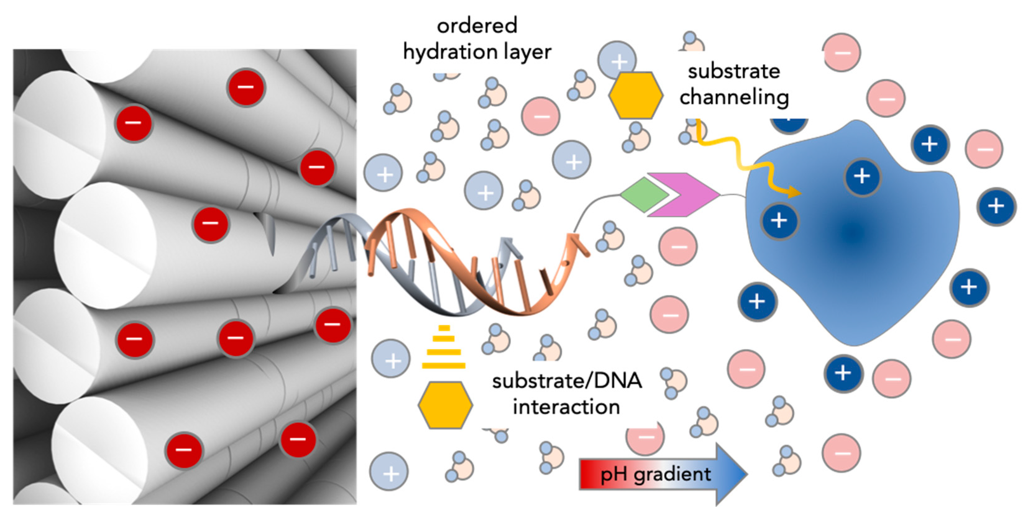 Molecules 24 03694 g006