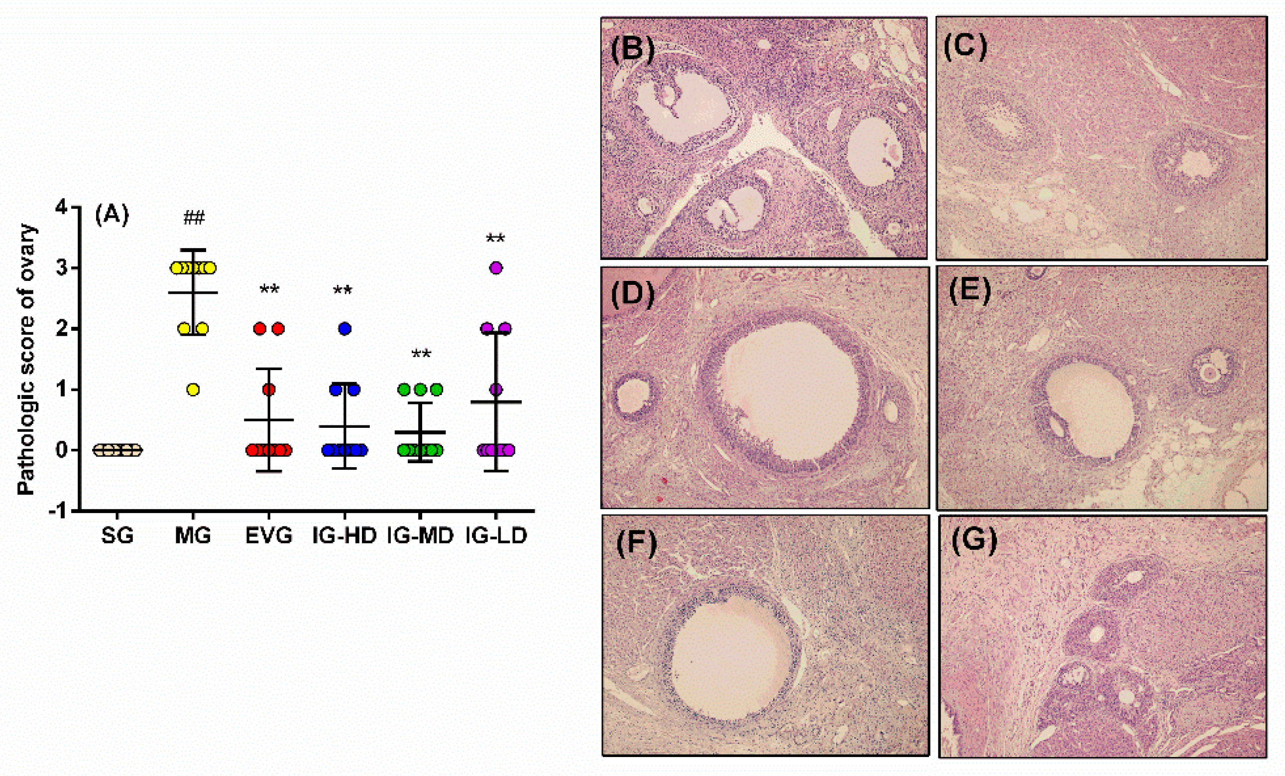 Molecules Free Full Text Pi3kakt Signaling Activation