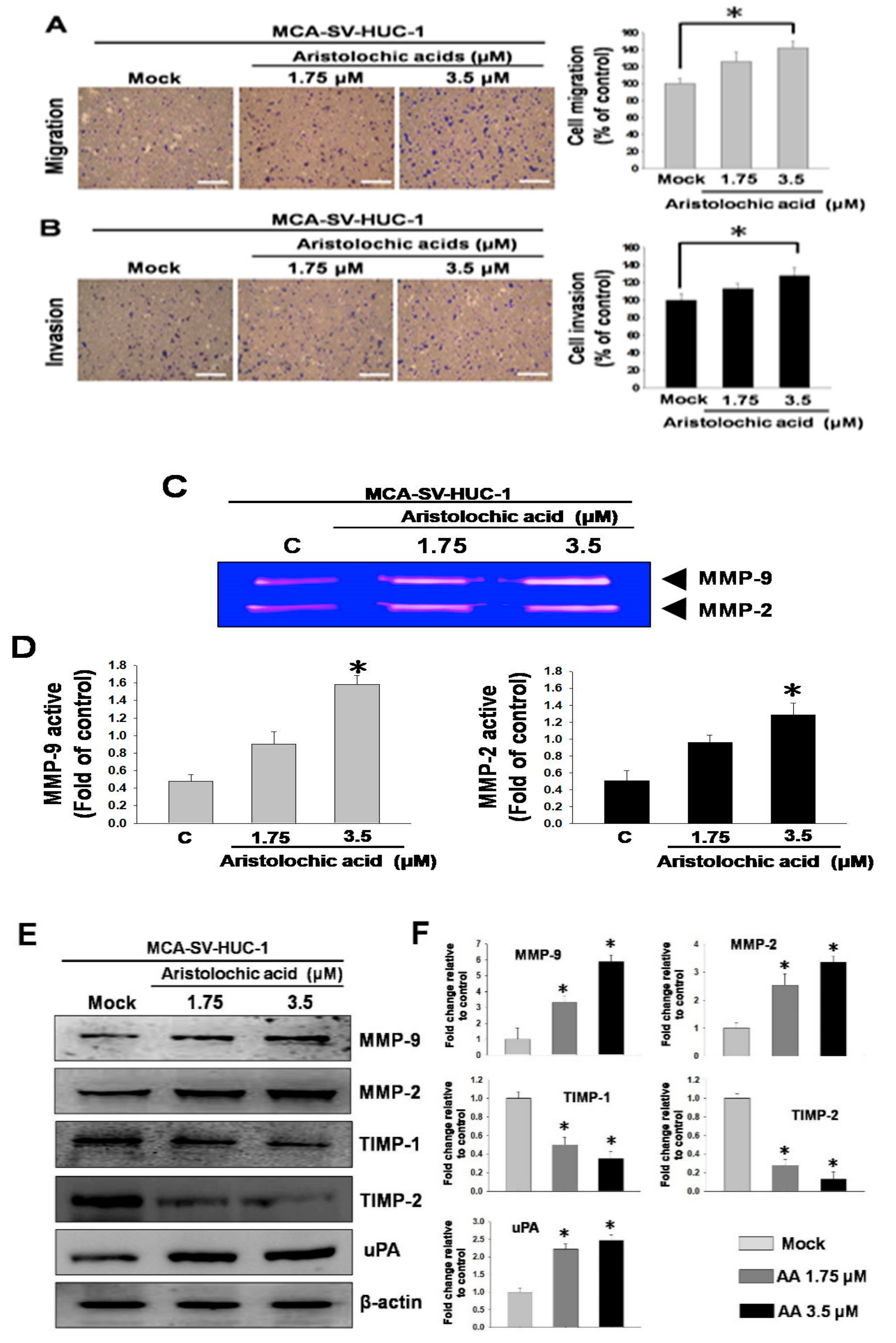 Molecules 24 03707 g002