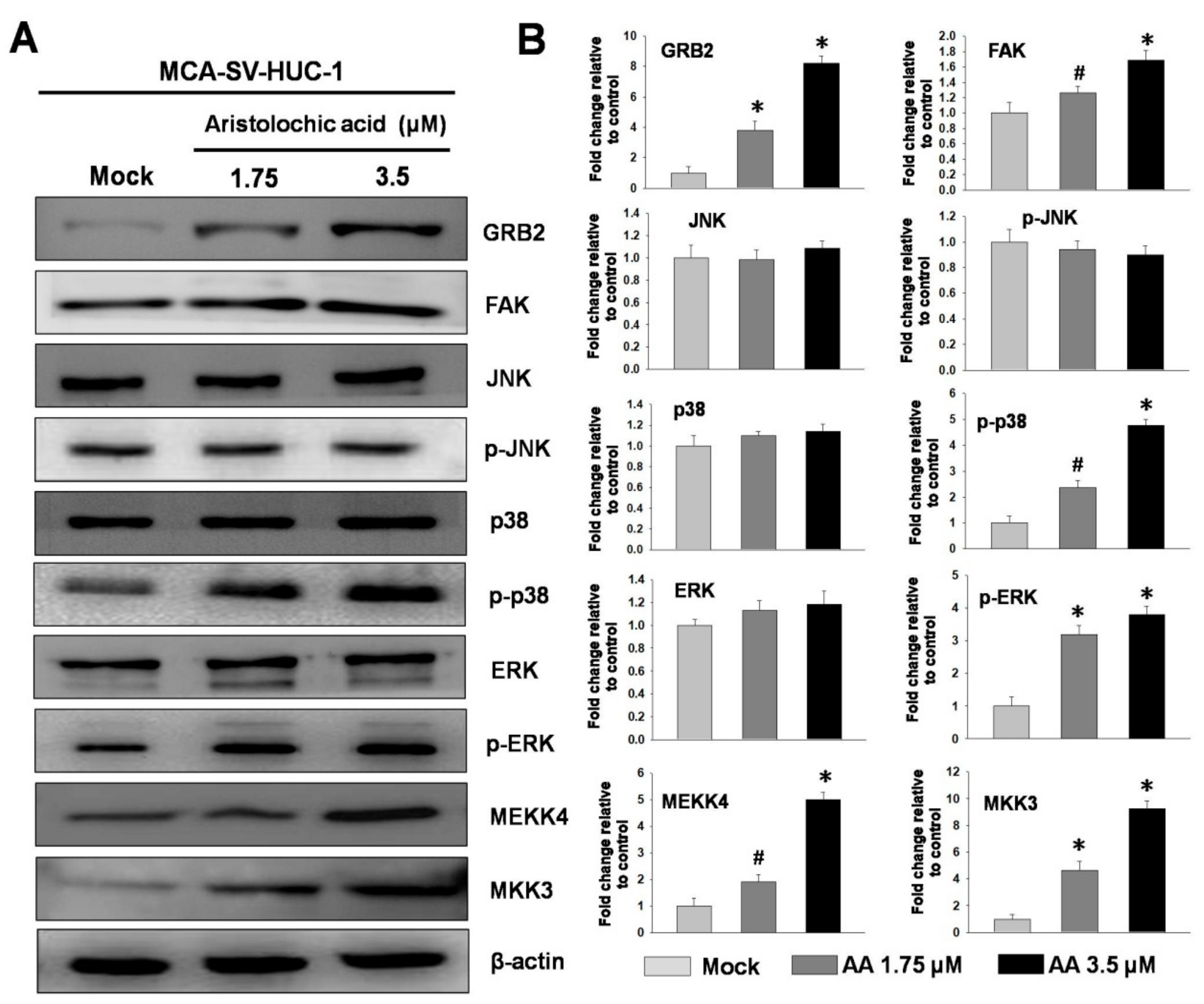 Molecules 24 03707 g003