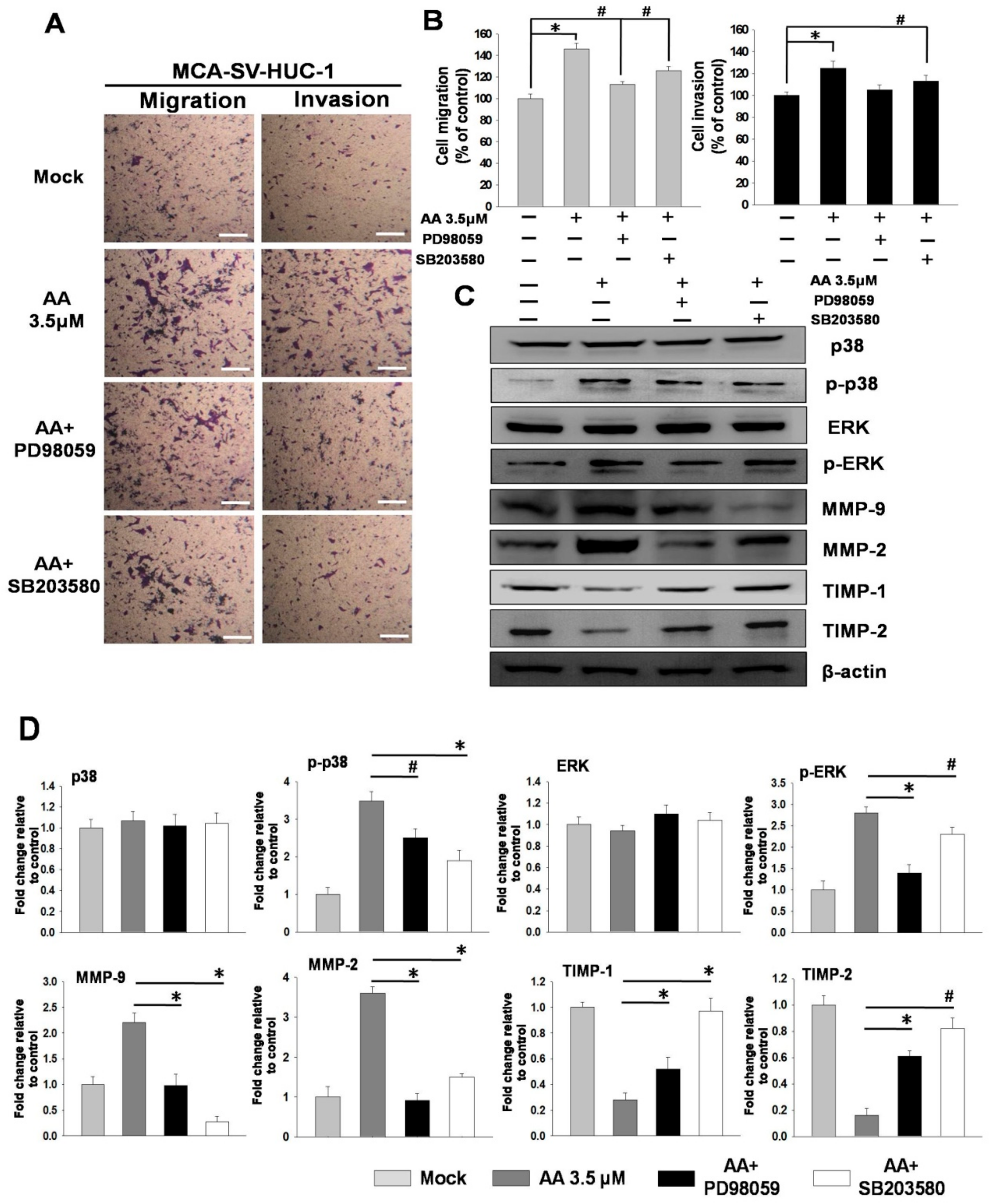 Molecules 24 03707 g004