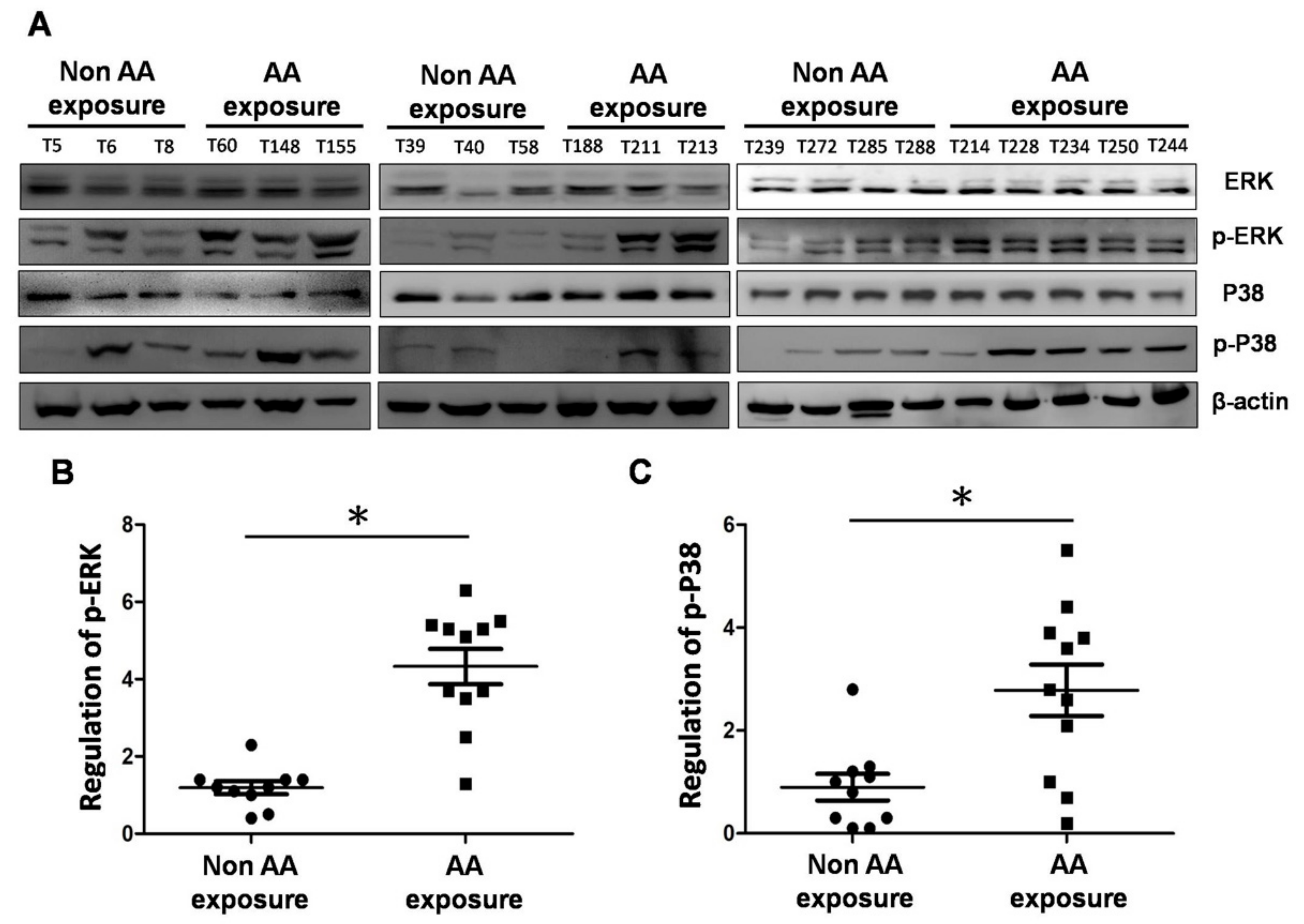 Molecules 24 03707 g005