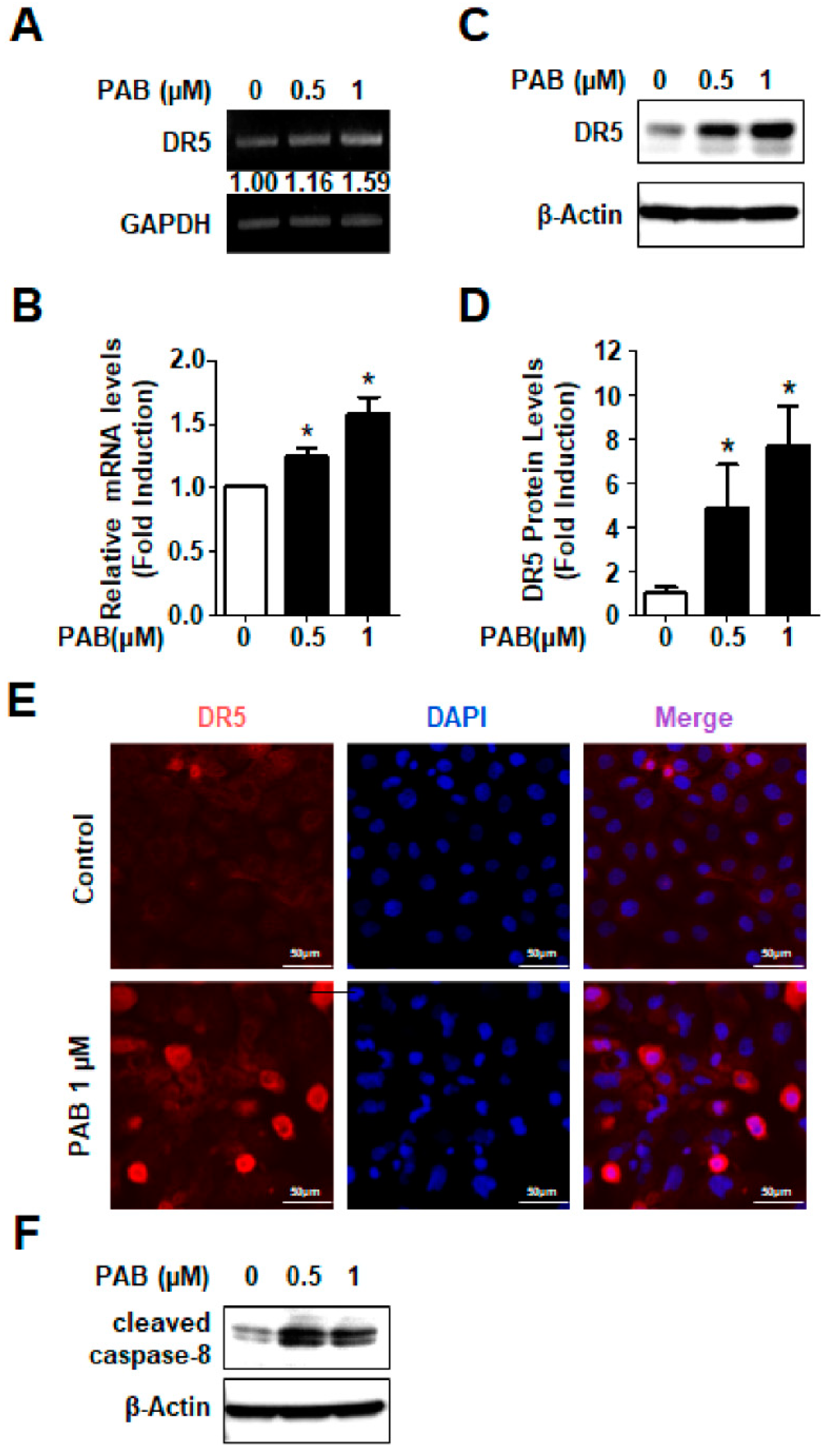 Molecules 24 03715 g003
