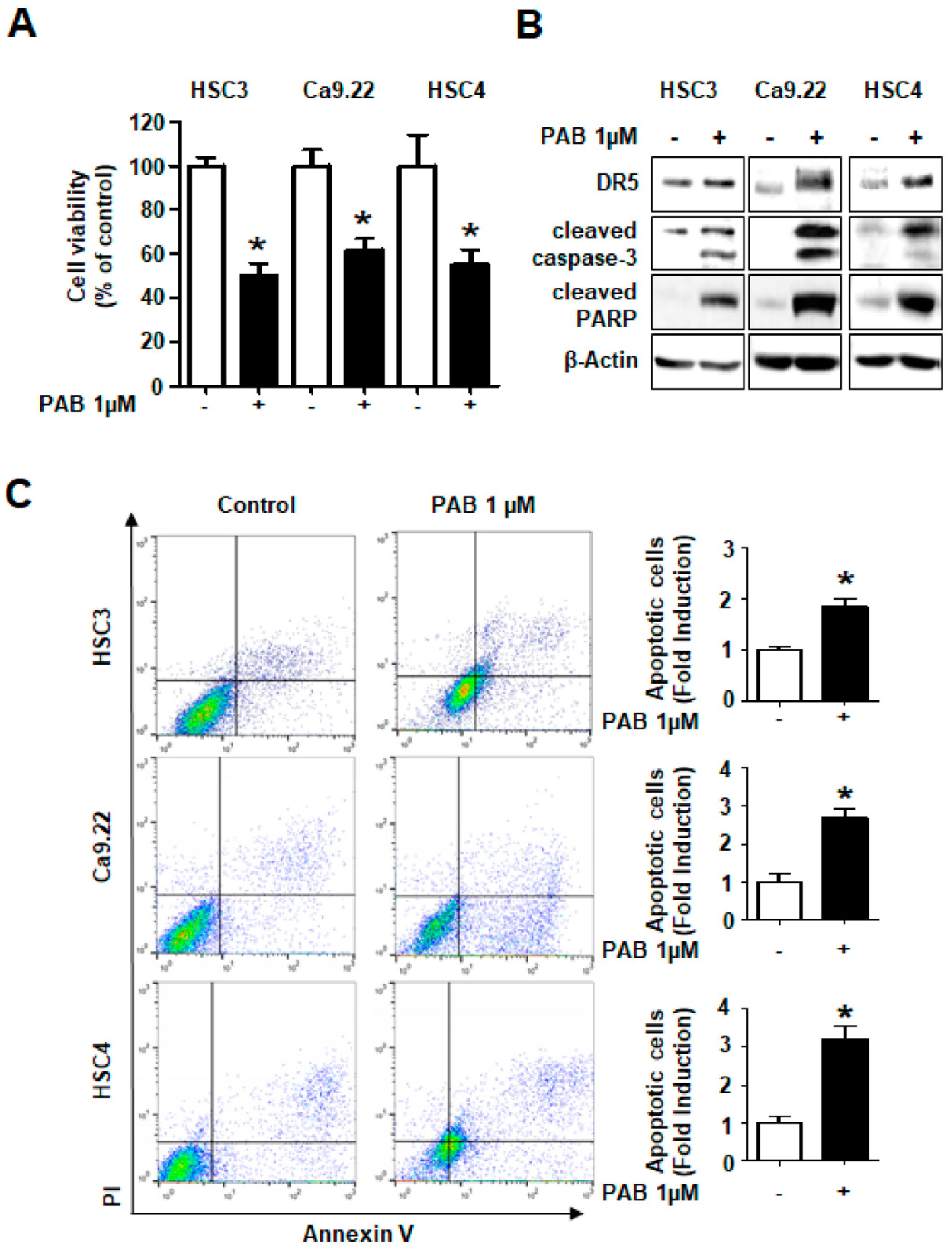 Molecules 24 03715 g004