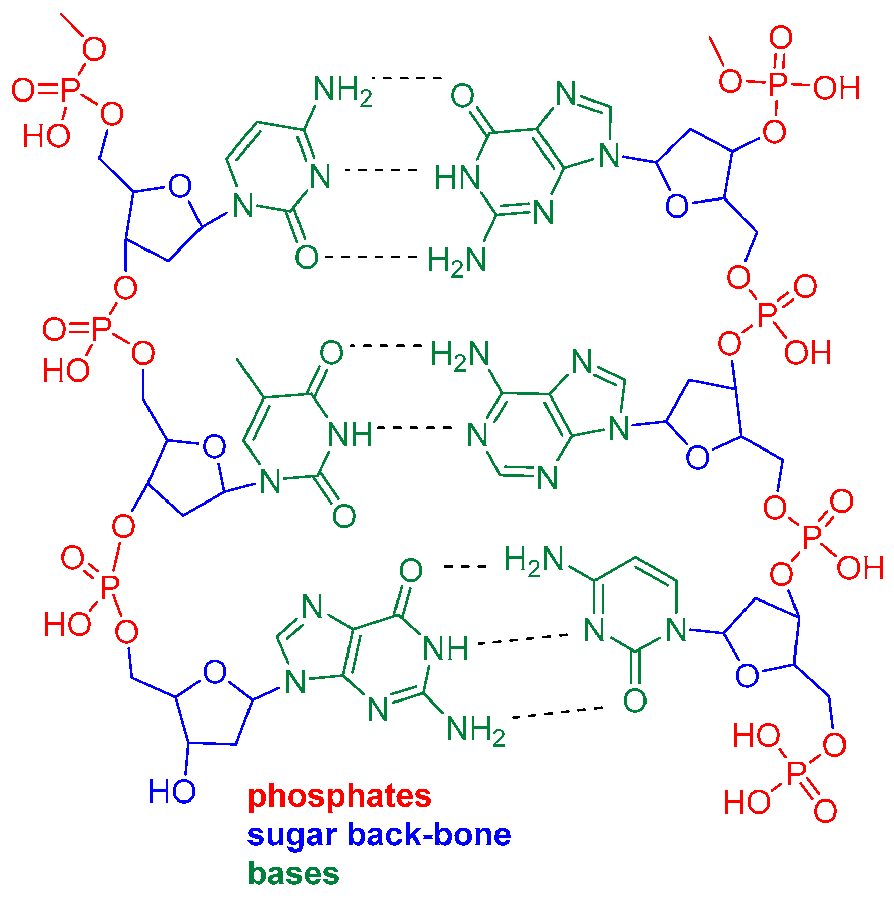 Molecules 24 03746 g002