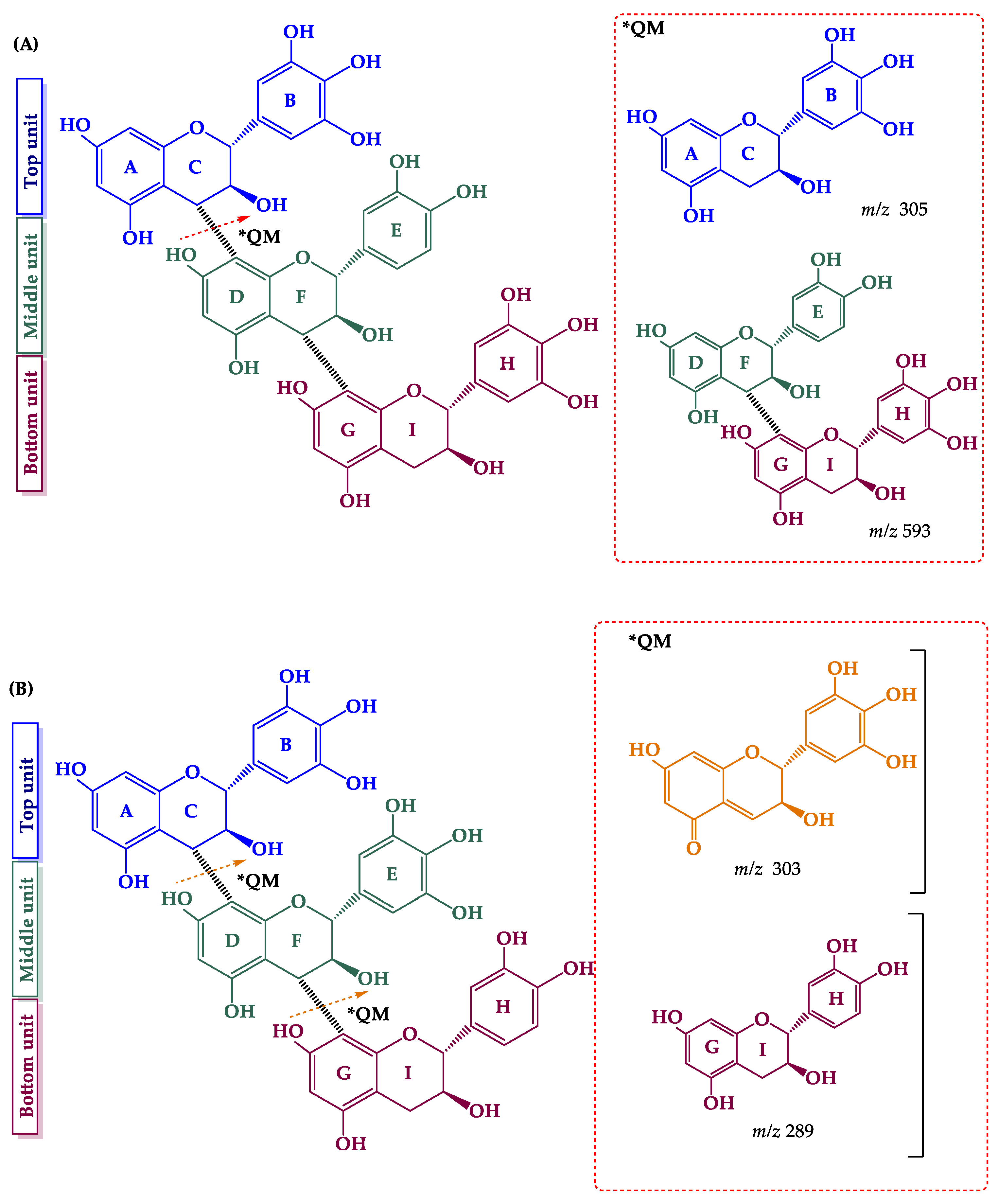 Molecules 24 03763 g004 Molecules 24 03763 g004