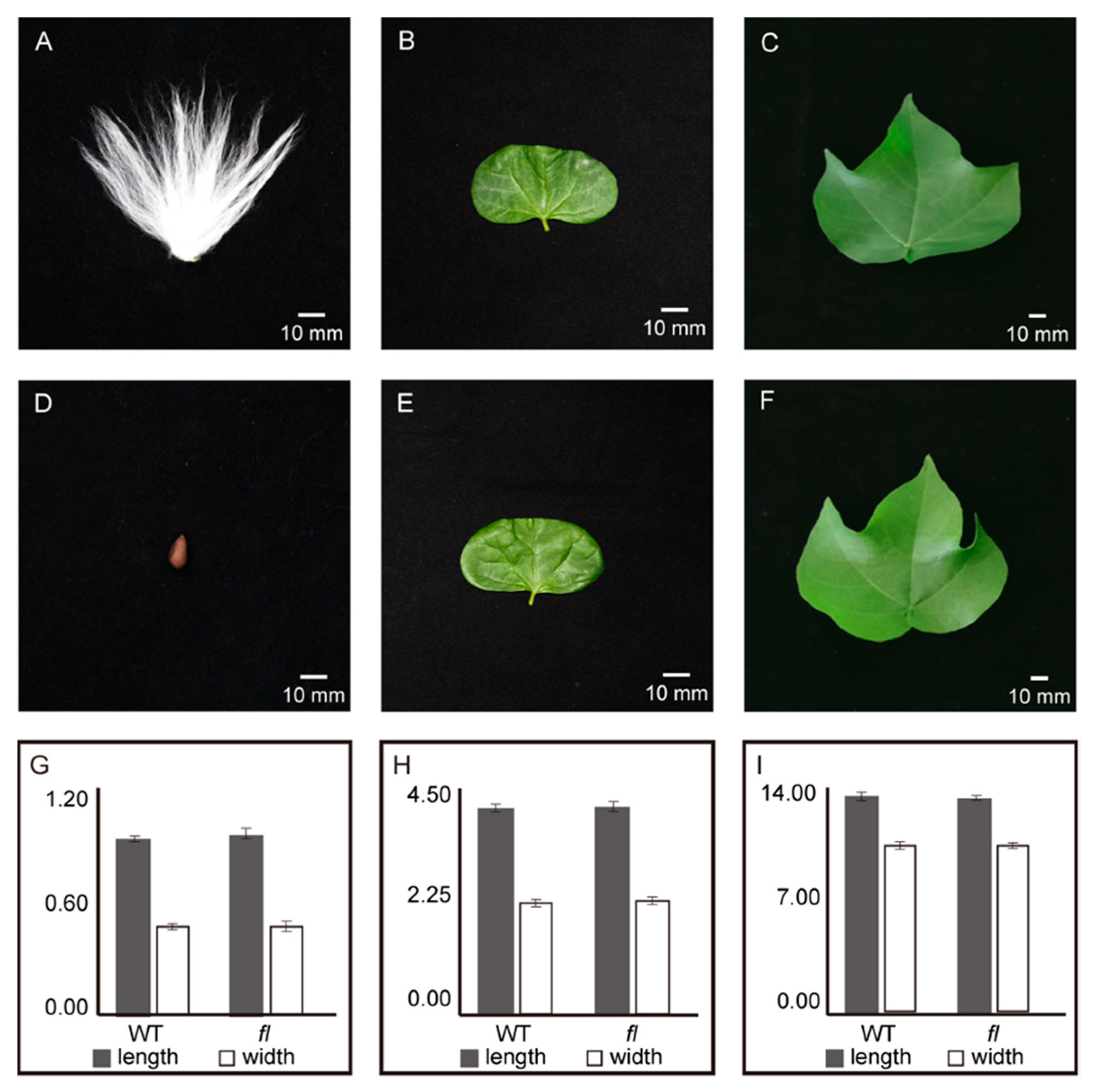 Molecules 24 03769 g001