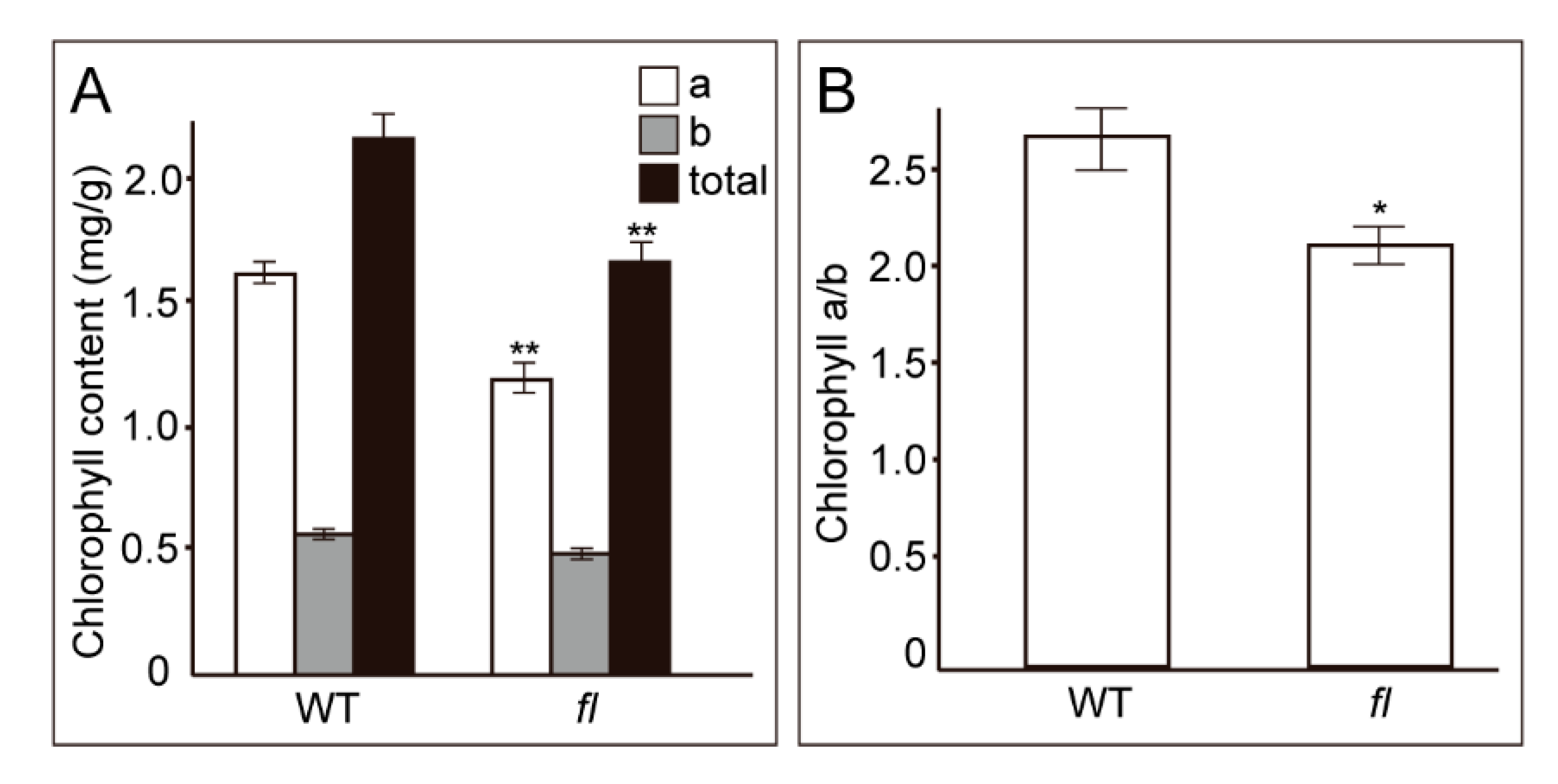 Molecules 24 03769 g008