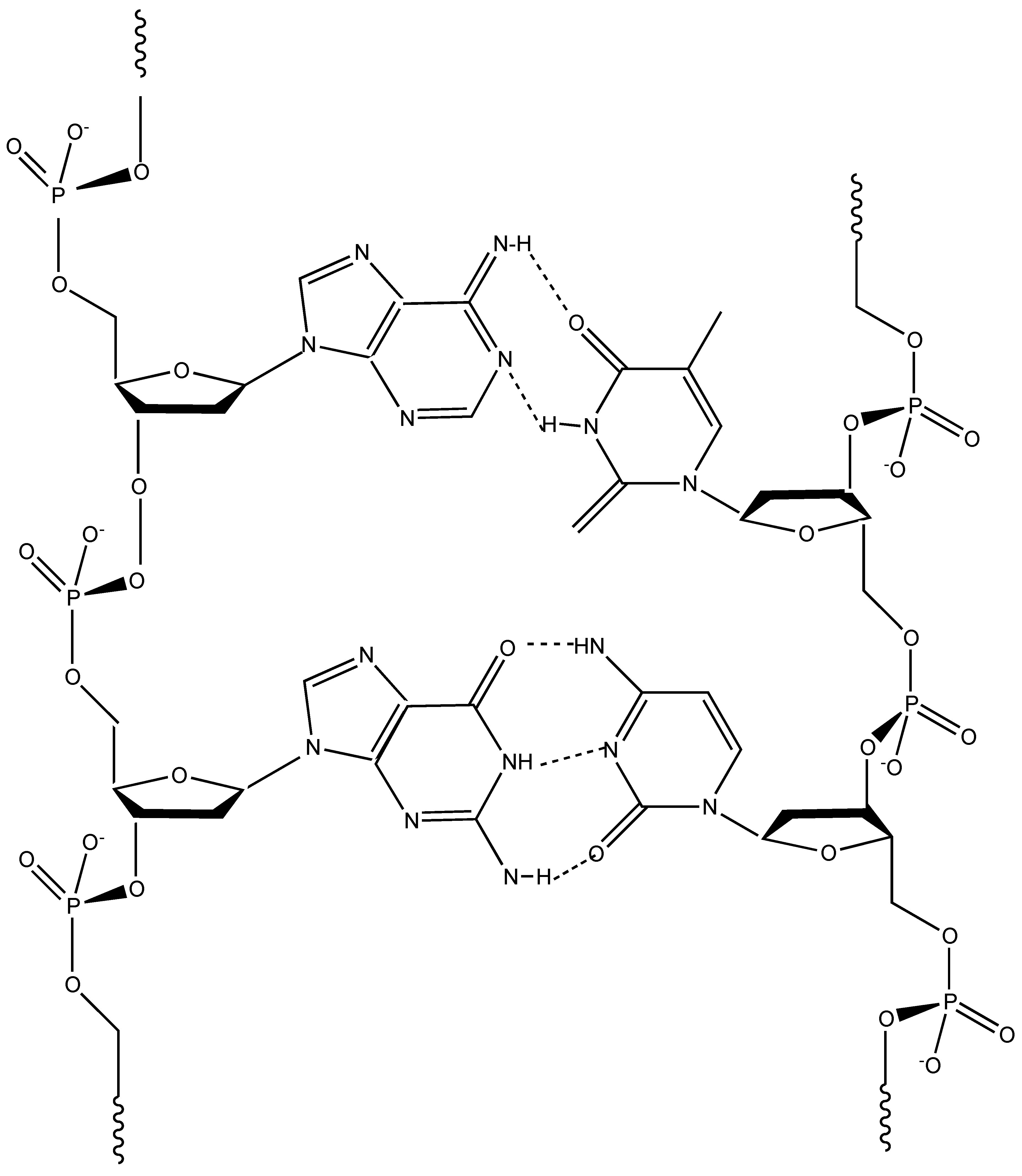 Molecules | Free Full-Text | Biomacromolecules and Bio-Sourced Products ...