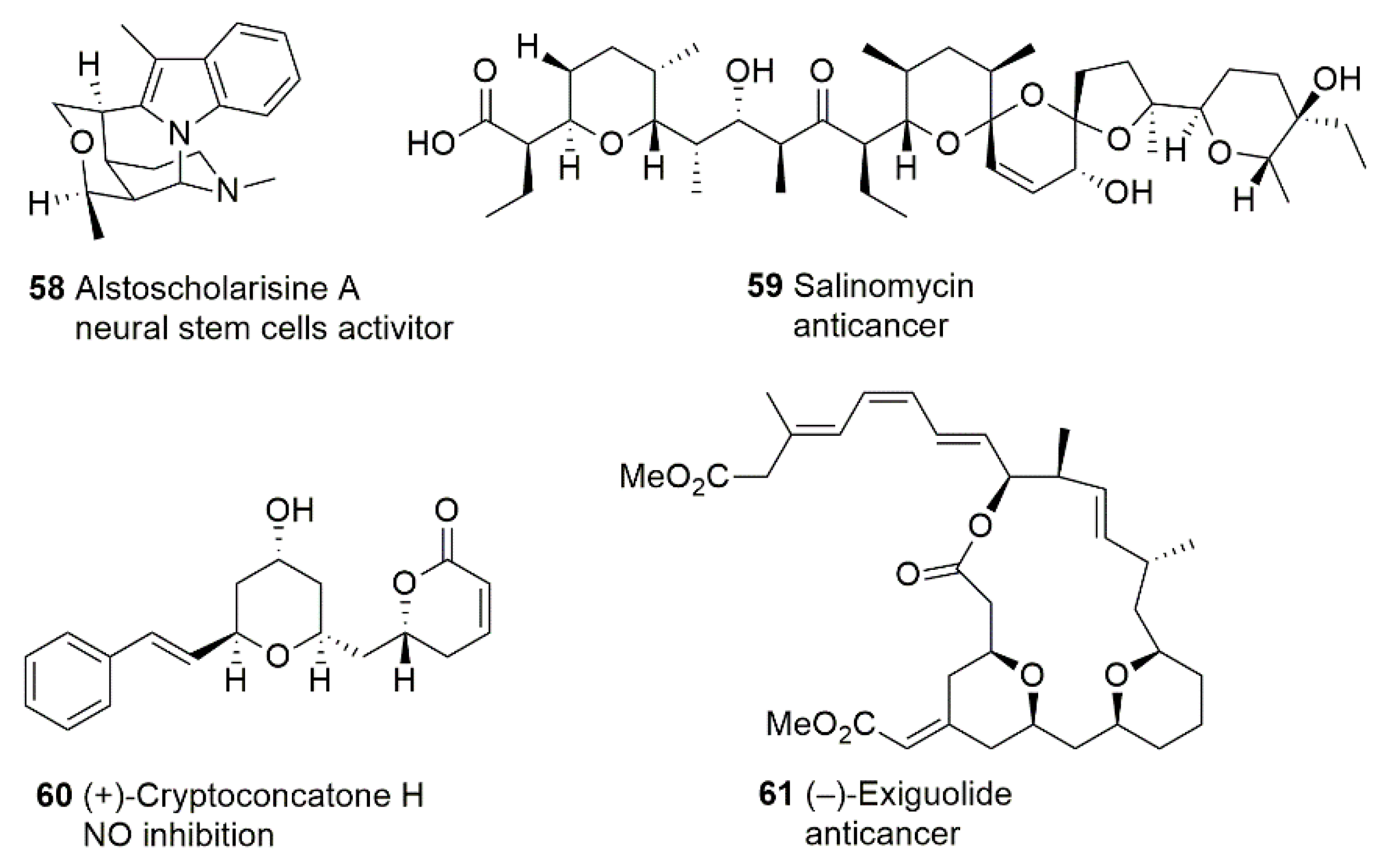 Molecules 24 03778 g005 Molecules 24 03778 g005