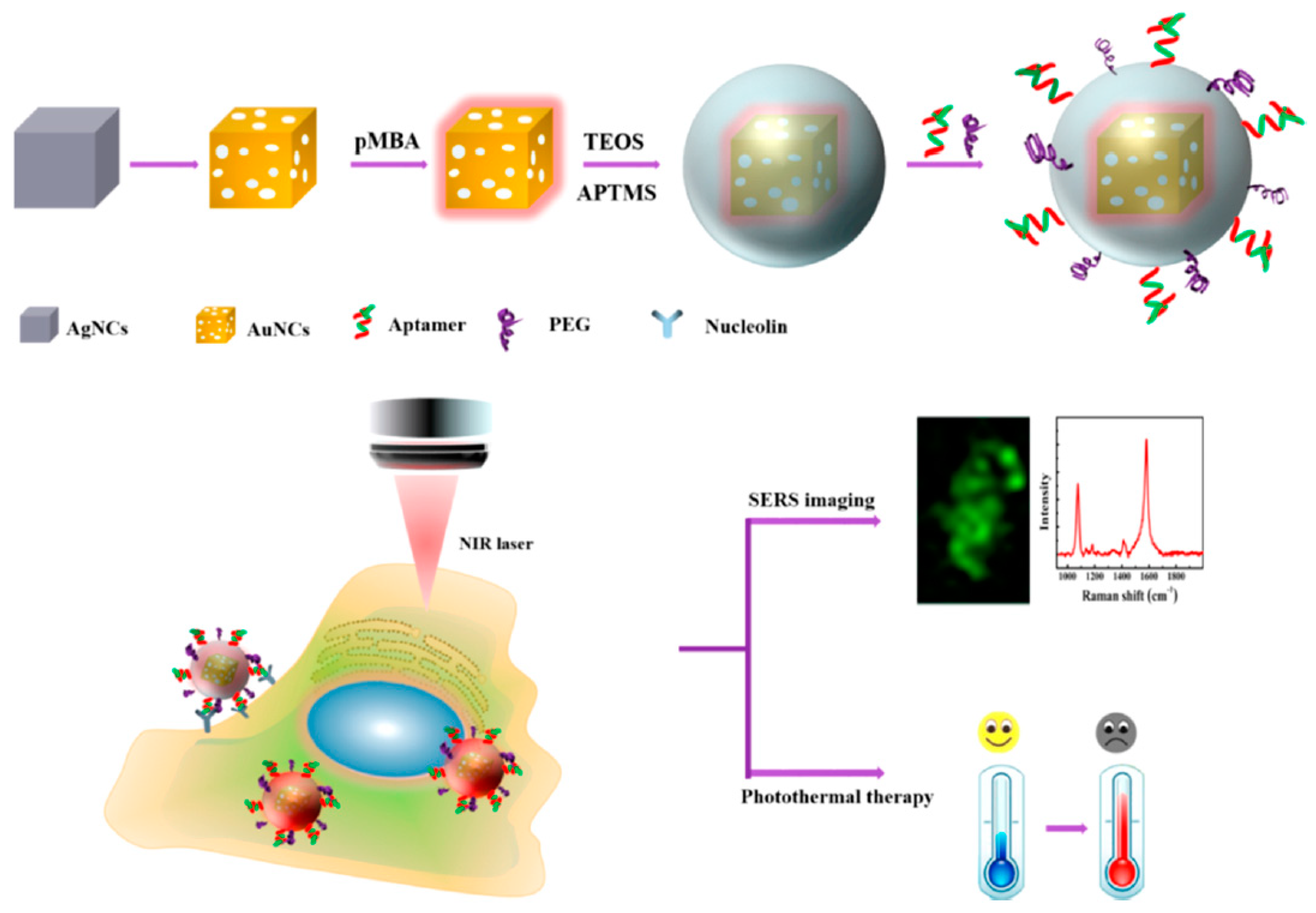 Molecules 24 03781 g004 Molecules 24 03781 g004