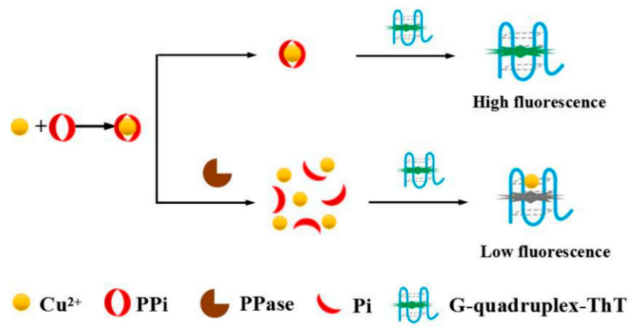 Molecules 24 03781 g005 Molecules 24 03781 g005