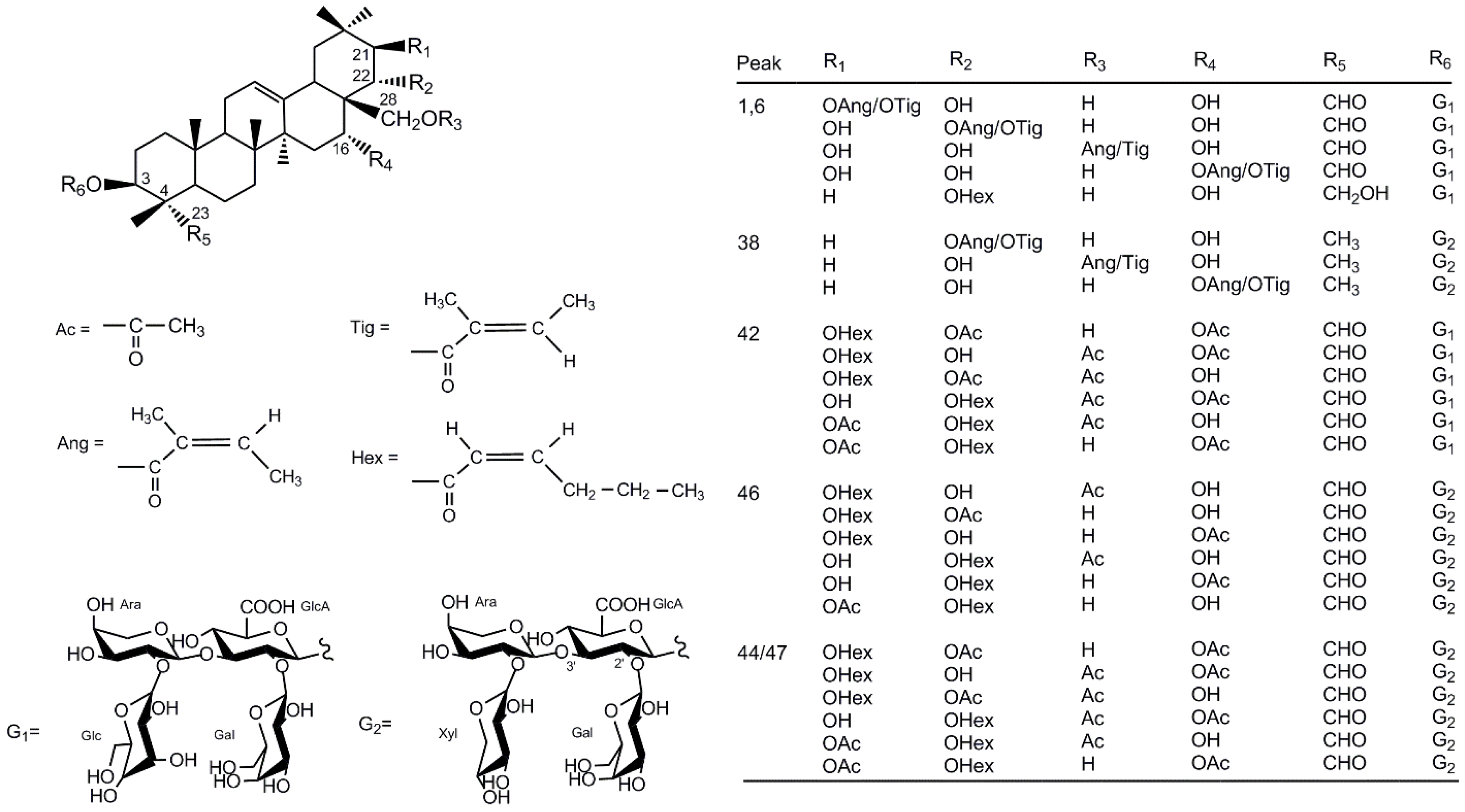 Molecules 24 03794 g002