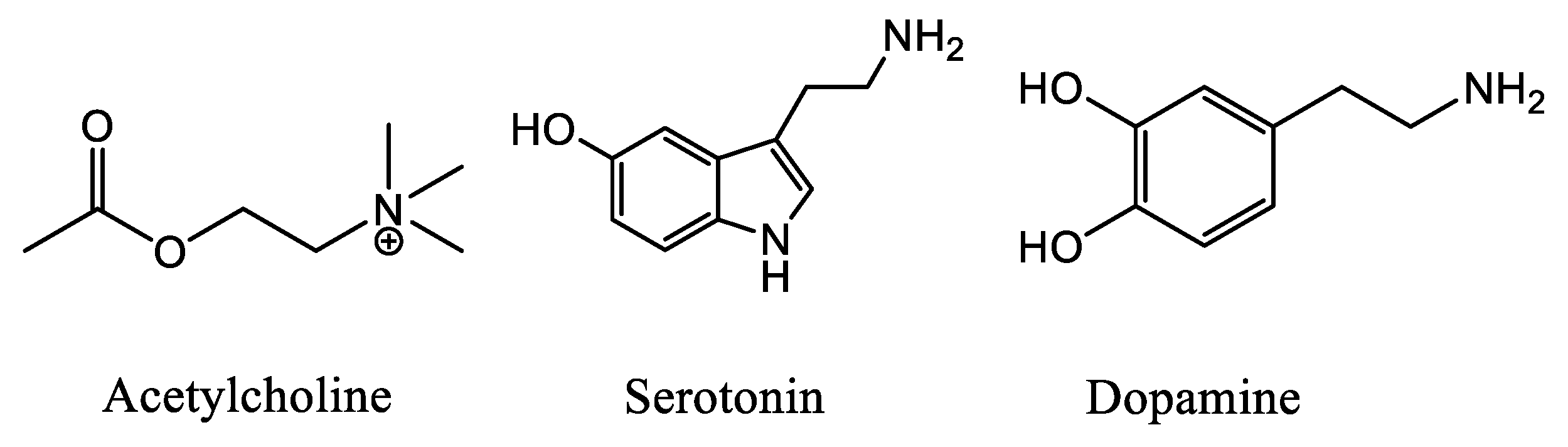 acetylcholine structure