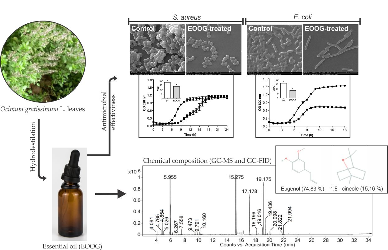 Molecules | Free Full-Text | Chemical Composition and Antimicrobial