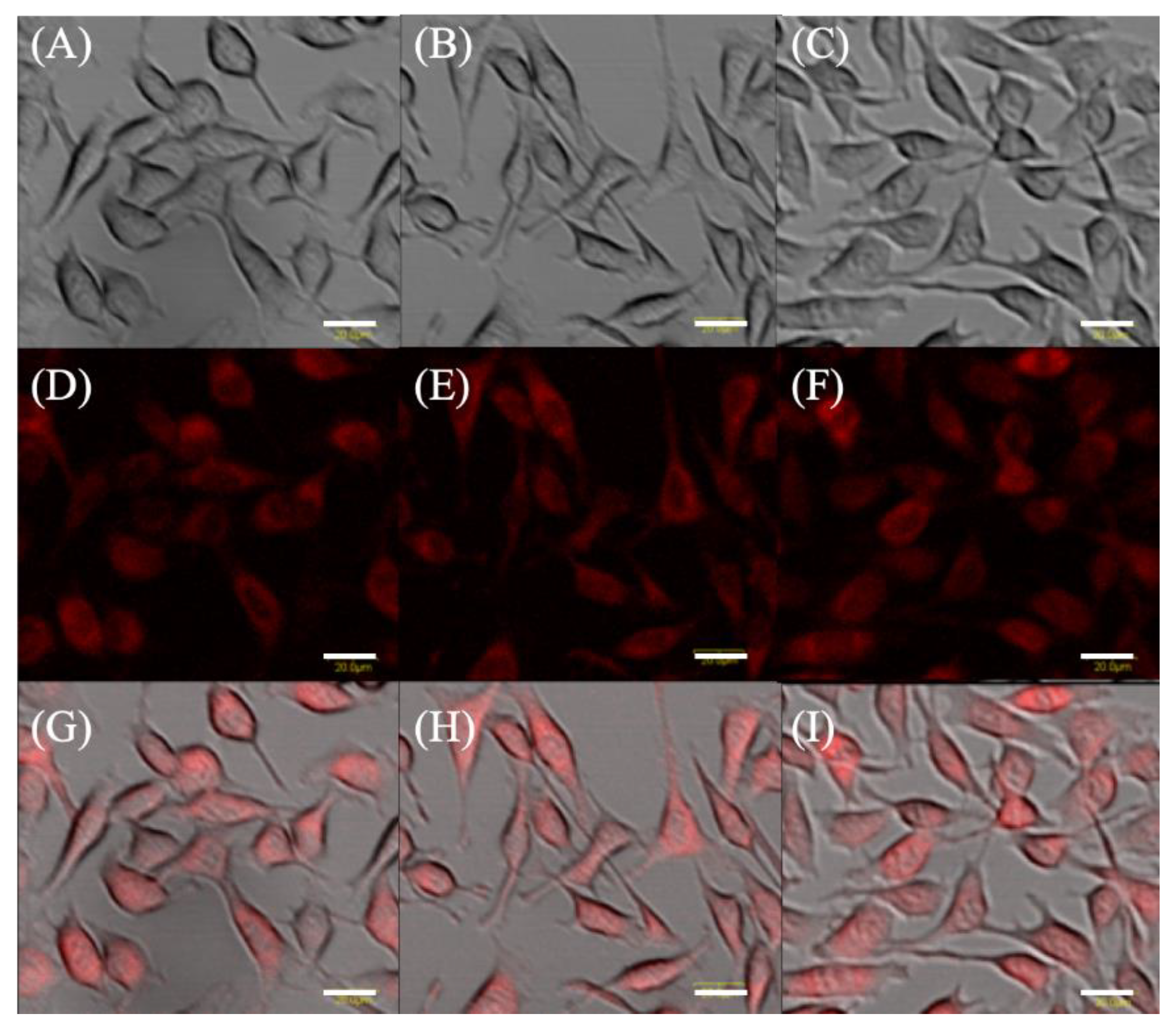 Molecules | Free Full-Text | Antimalarial Drugs Enhance the