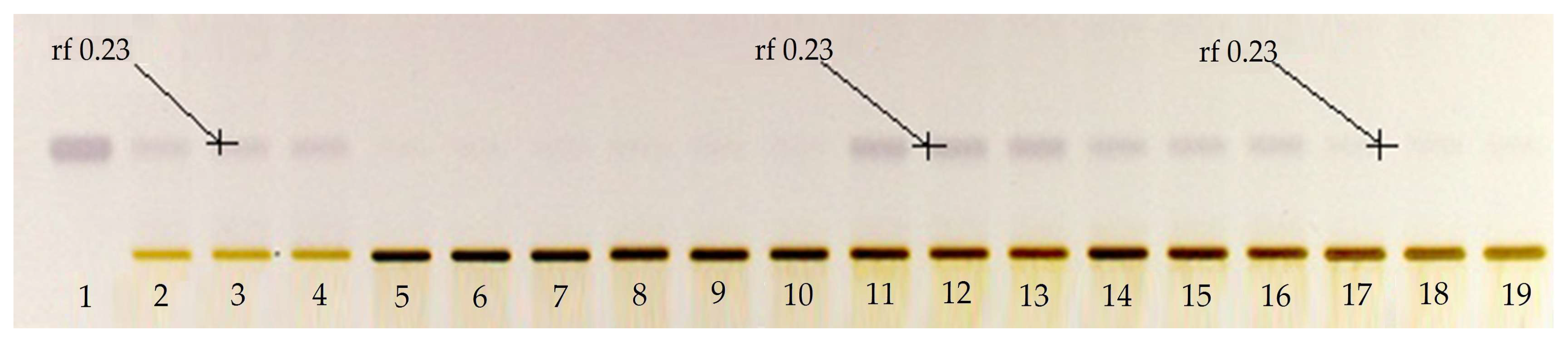 Molecules 24 03926 g001