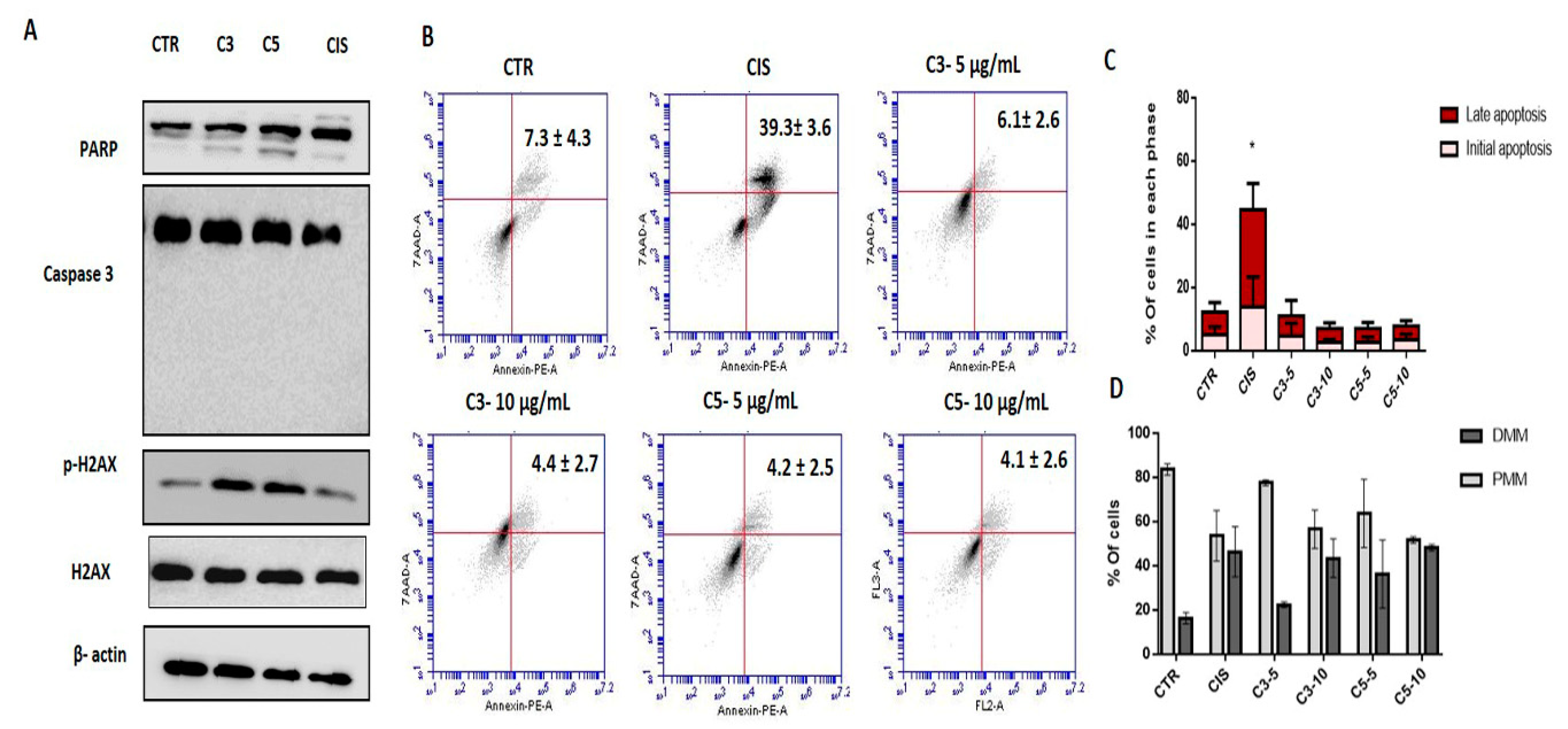 Molecules Free Full Text Annona Coriacea Mart Fractions Promote Cell Cycle Arrest And Inhibit Autophagic Flux In Human Cervical Cancer Cell Lines Html