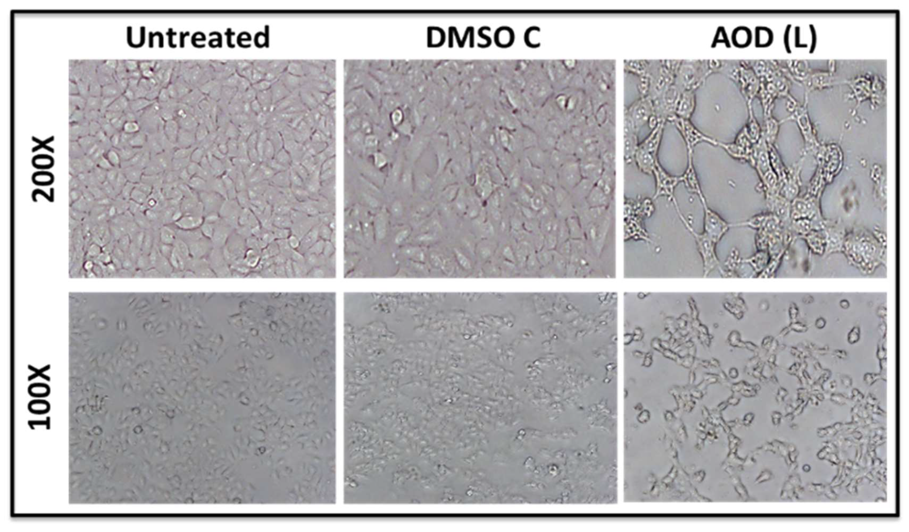 Molecules 24 03976 g004 Molecules 24 03976 g004