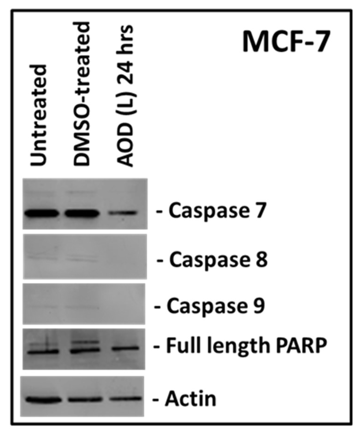 Molecules 24 03976 g005 Molecules 24 03976 g005