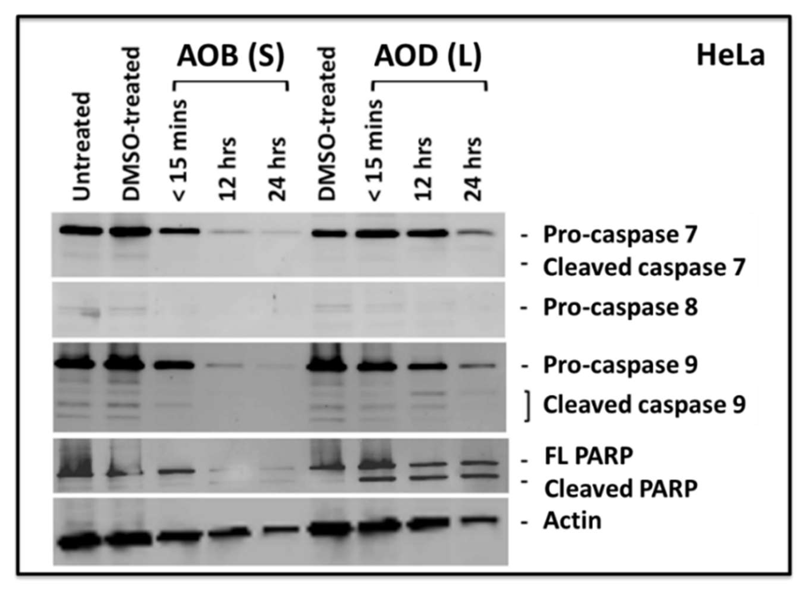 Molecules 24 03976 g006 Molecules 24 03976 g006