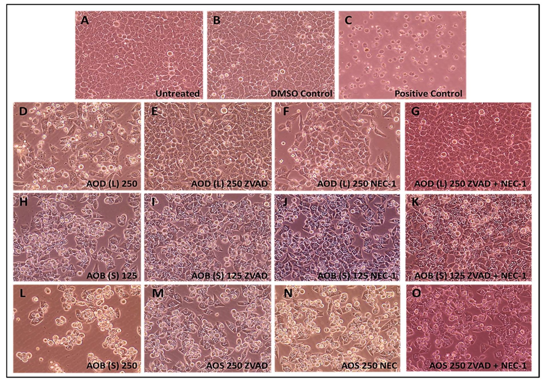Molecules 24 03976 g008 Molecules 24 03976 g008