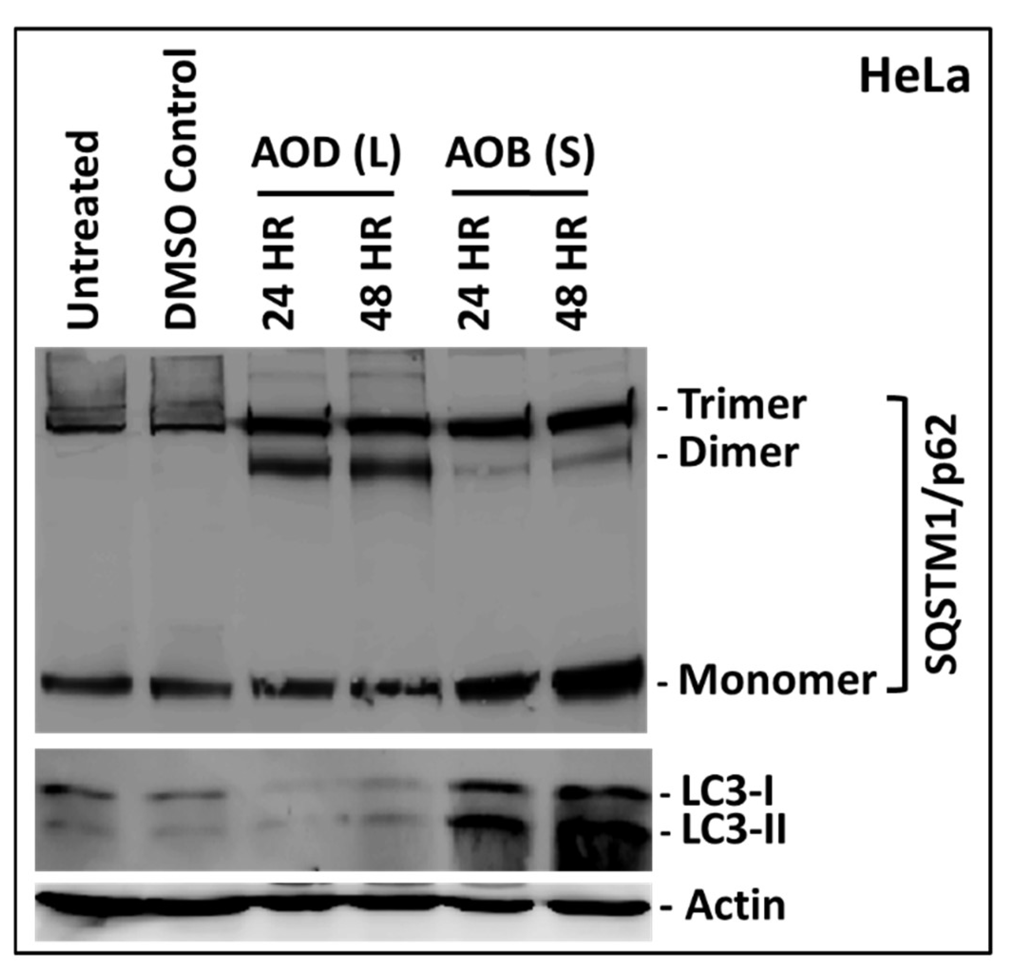 Molecules 24 03976 g009 Molecules 24 03976 g009