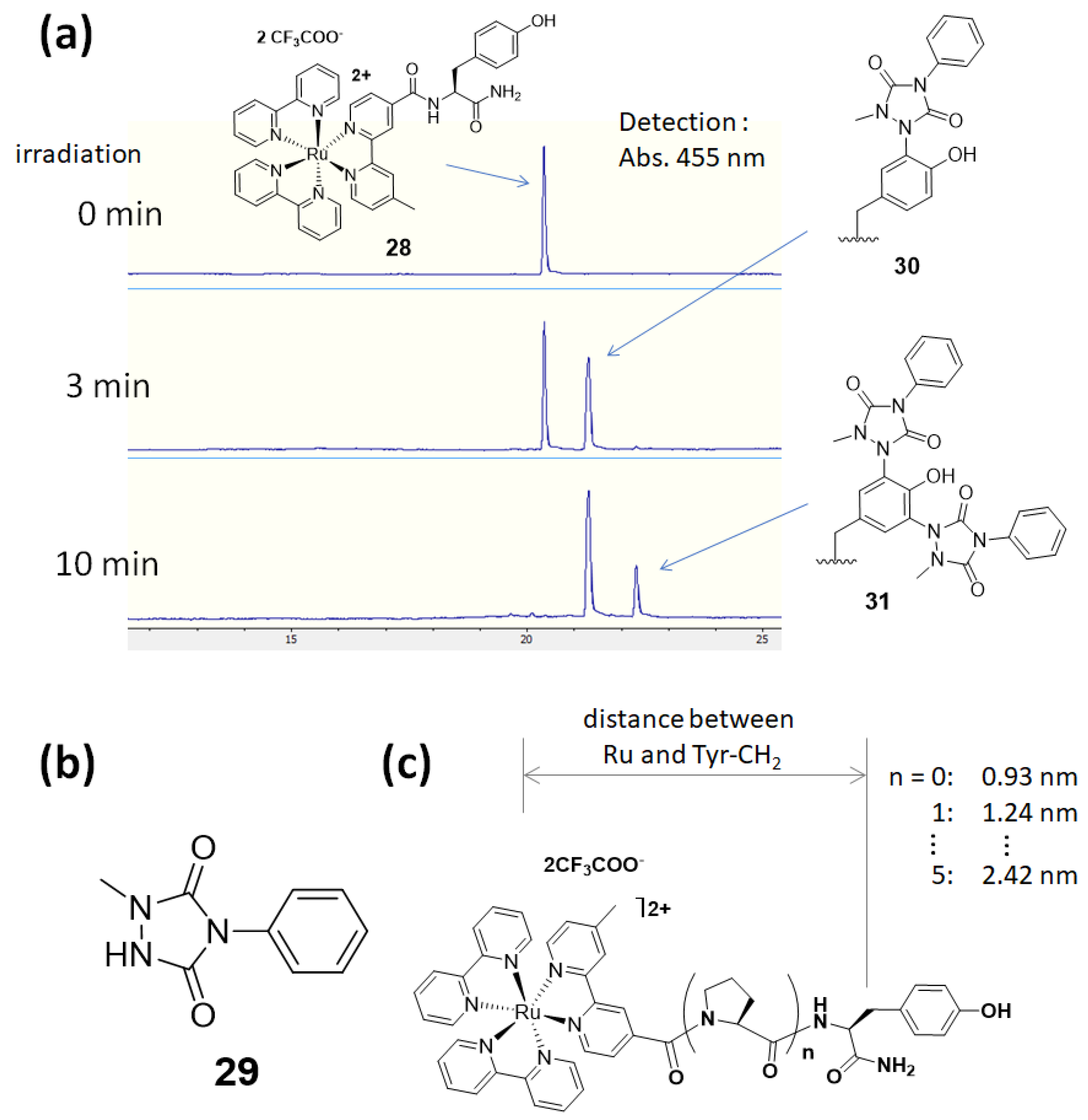 Molecules 24 03980 g009 Molecules 24 03980 g009