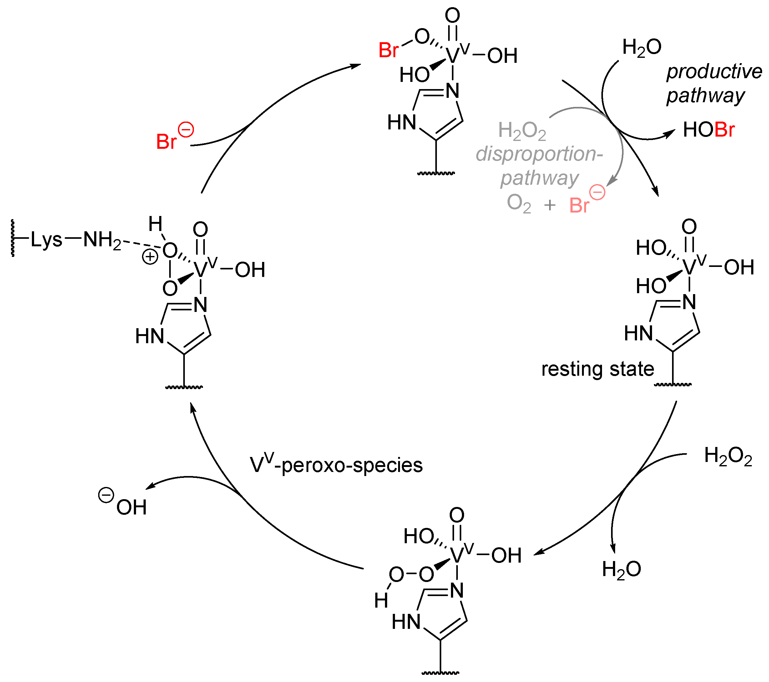 Molecules 24 04008 g009