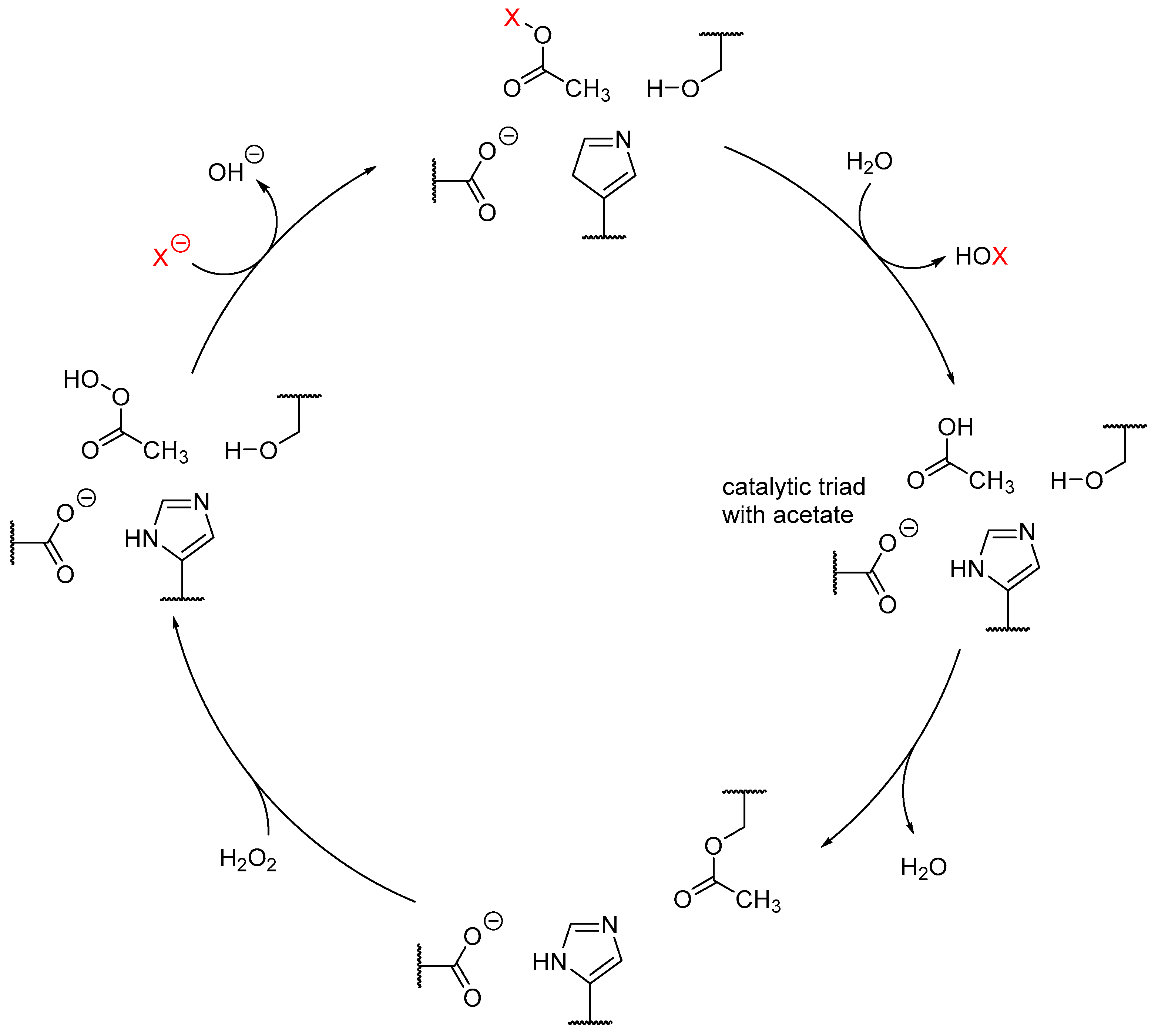Molecules 24 04008 g012