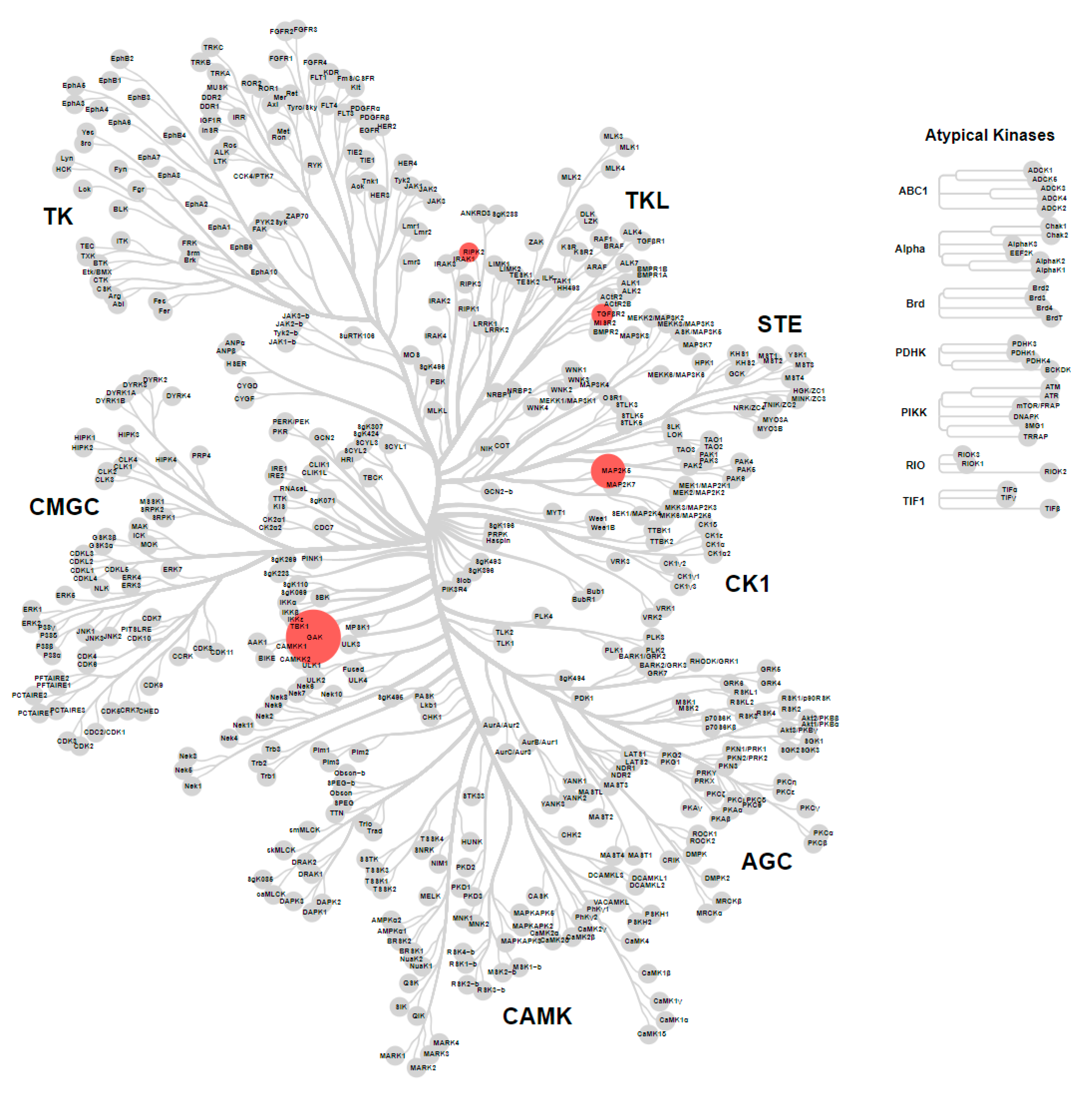 Molecules 24 04016 g006