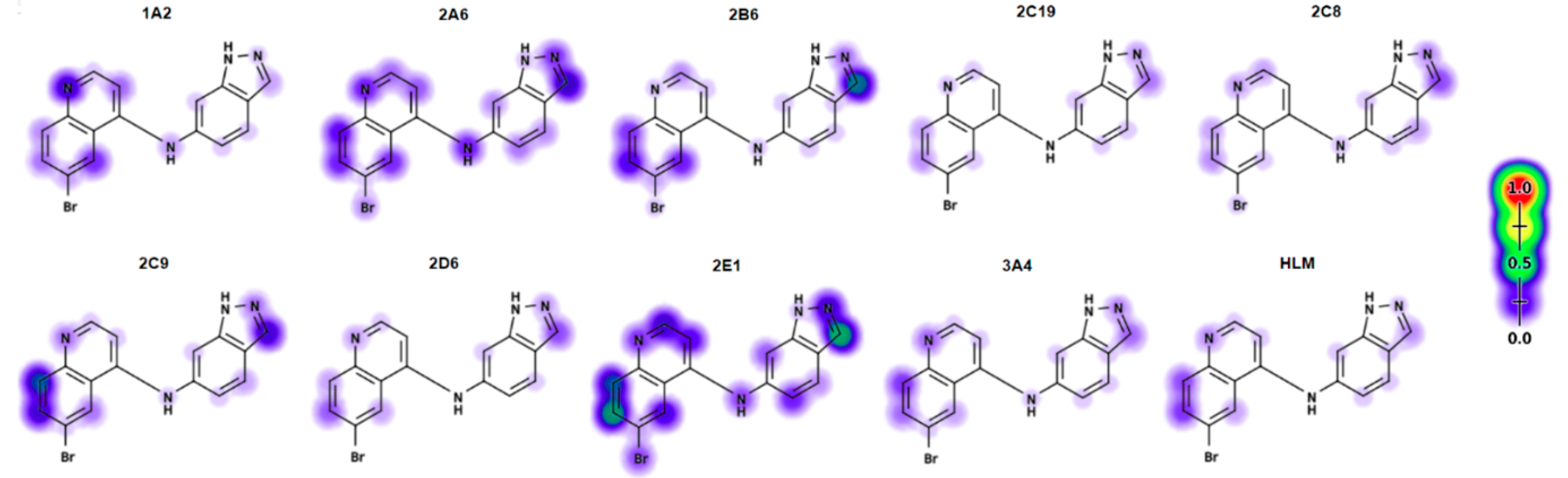 Molecules 24 04016 g012