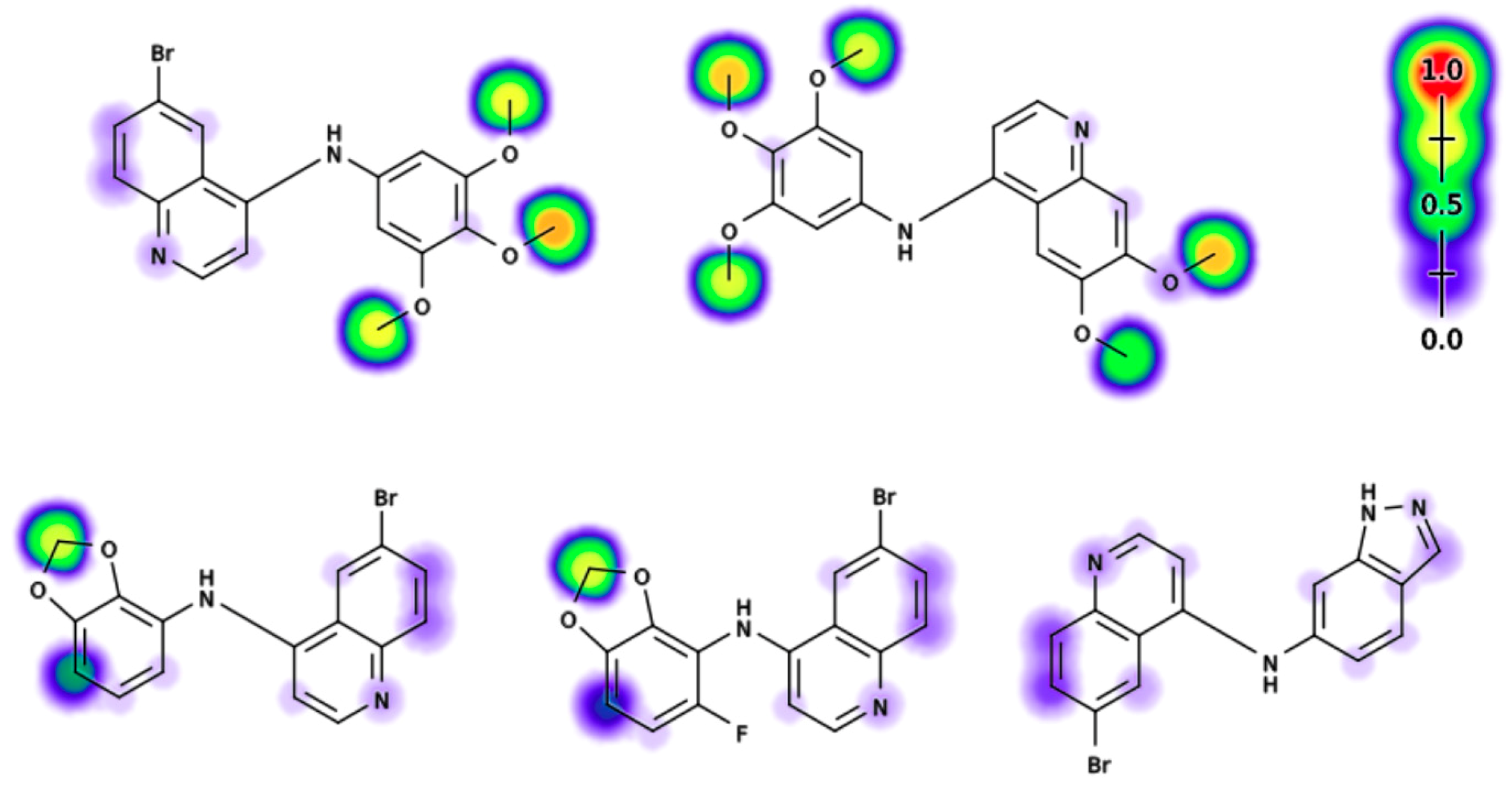 Molecules 24 04016 g013