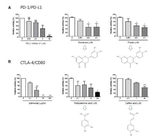 Molecules Free Full Text Immune Checkpoint Pd 1 Pd L1 Ctla 4 Cd80 Are Blocked By Rhus Verniciflua Stokes And Its Active Compounds Html
