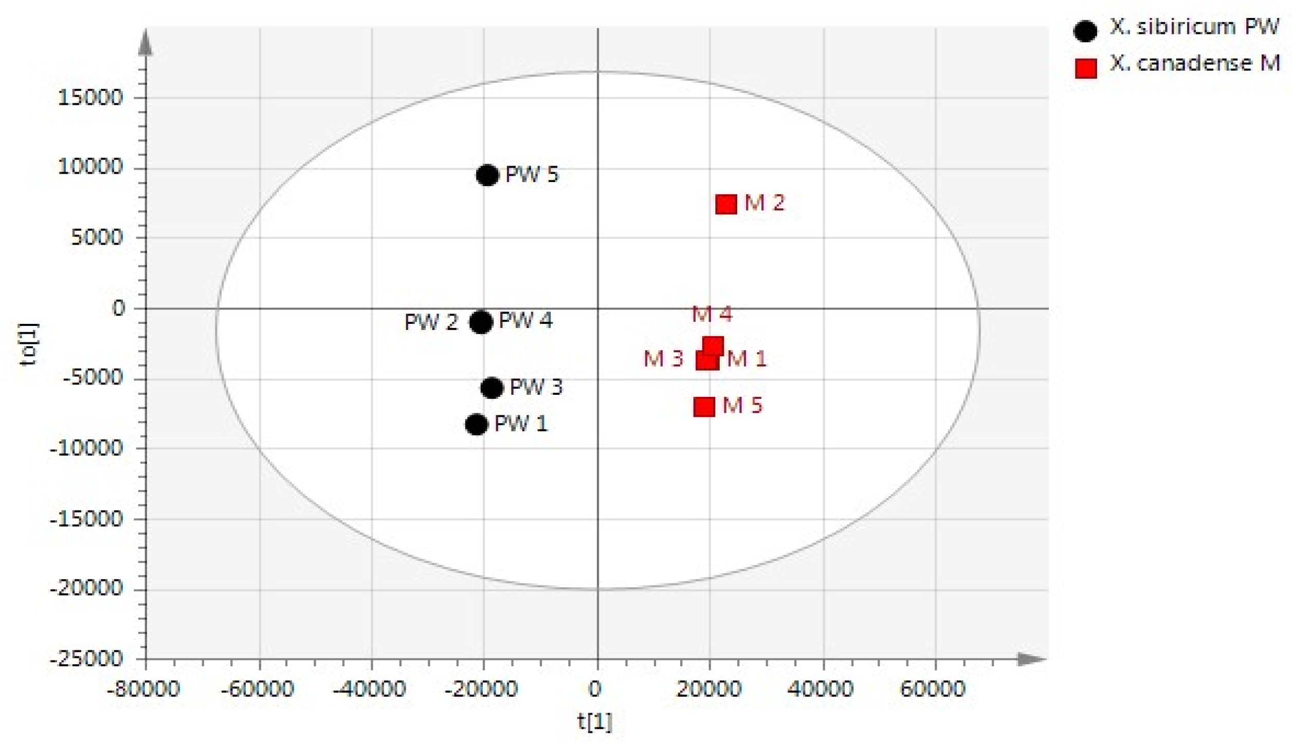 Molecules 24 04079 g002