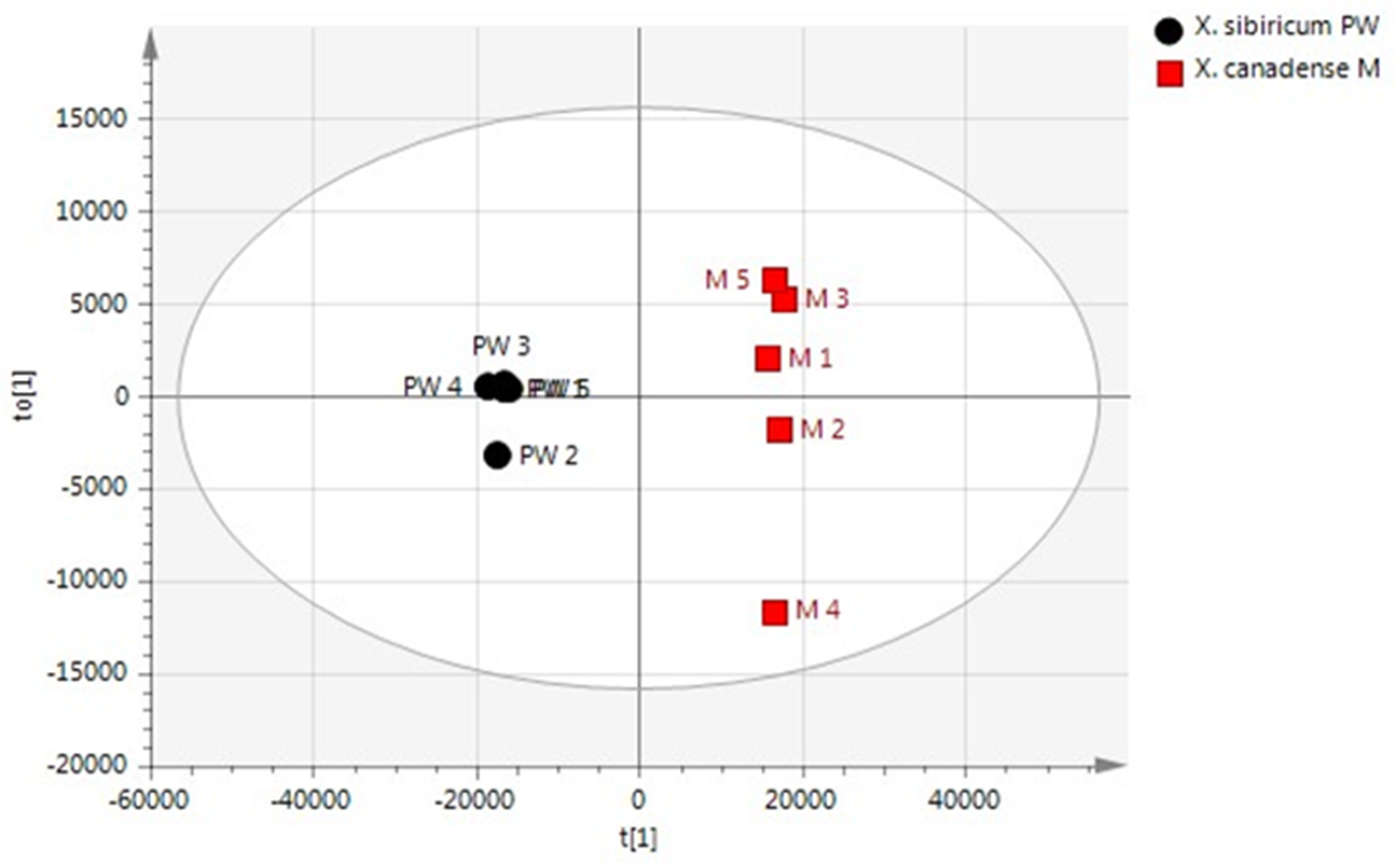Molecules 24 04079 g004