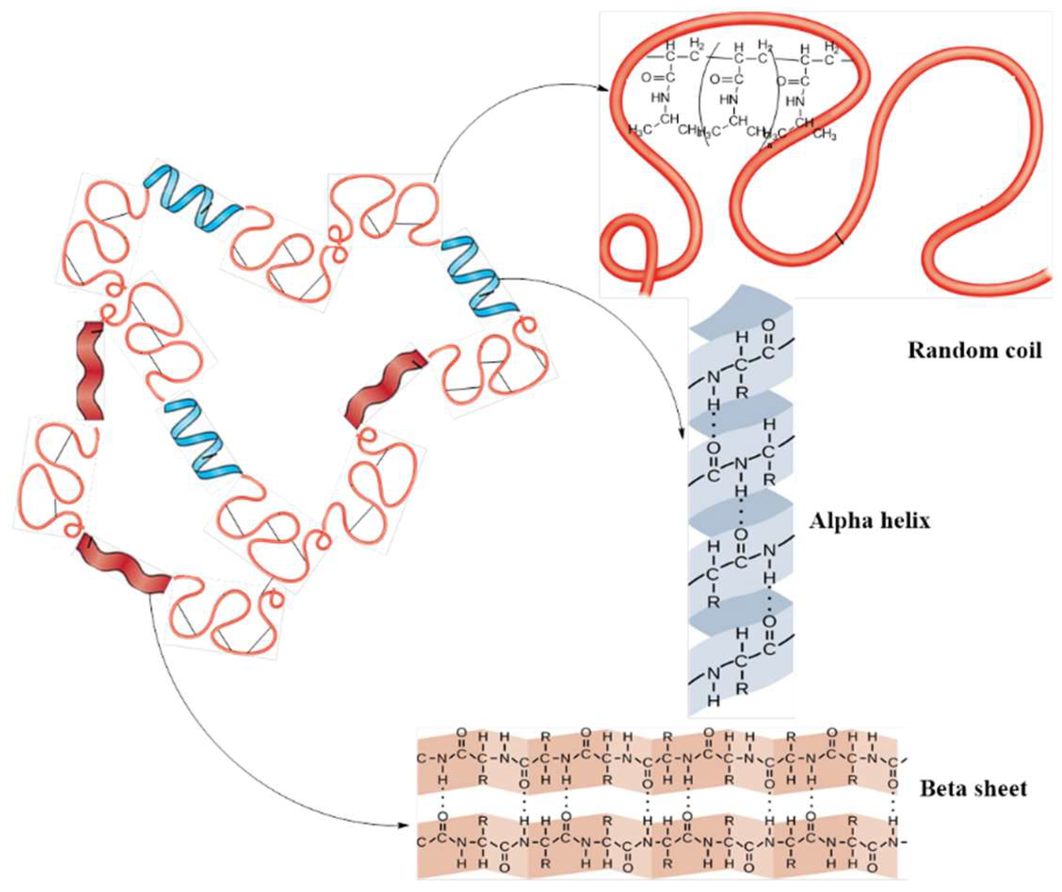 Molecules Free Full Text Grafting Versus Crosslinking Of Silk Fibroin G Pnipam Via Tyrosine Nipam Bridges Html