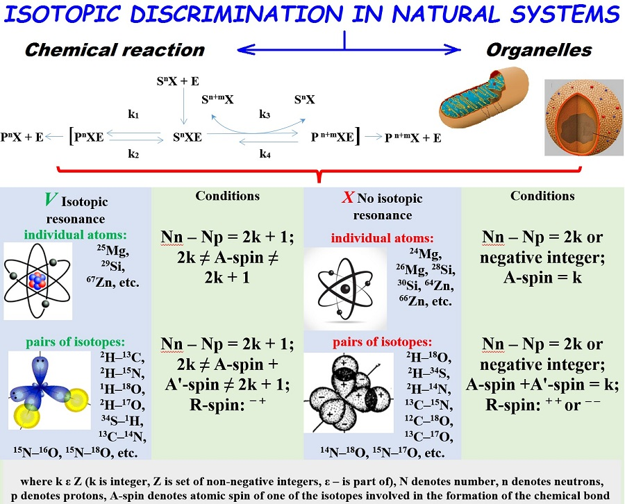 Molecules Free Full Text Possible Mechanisms Of Biological Effects Observed In Living Systems During 2h 1h Isotope Fractionation And Deuterium Interactions With Other Biogenic Isotopes Html