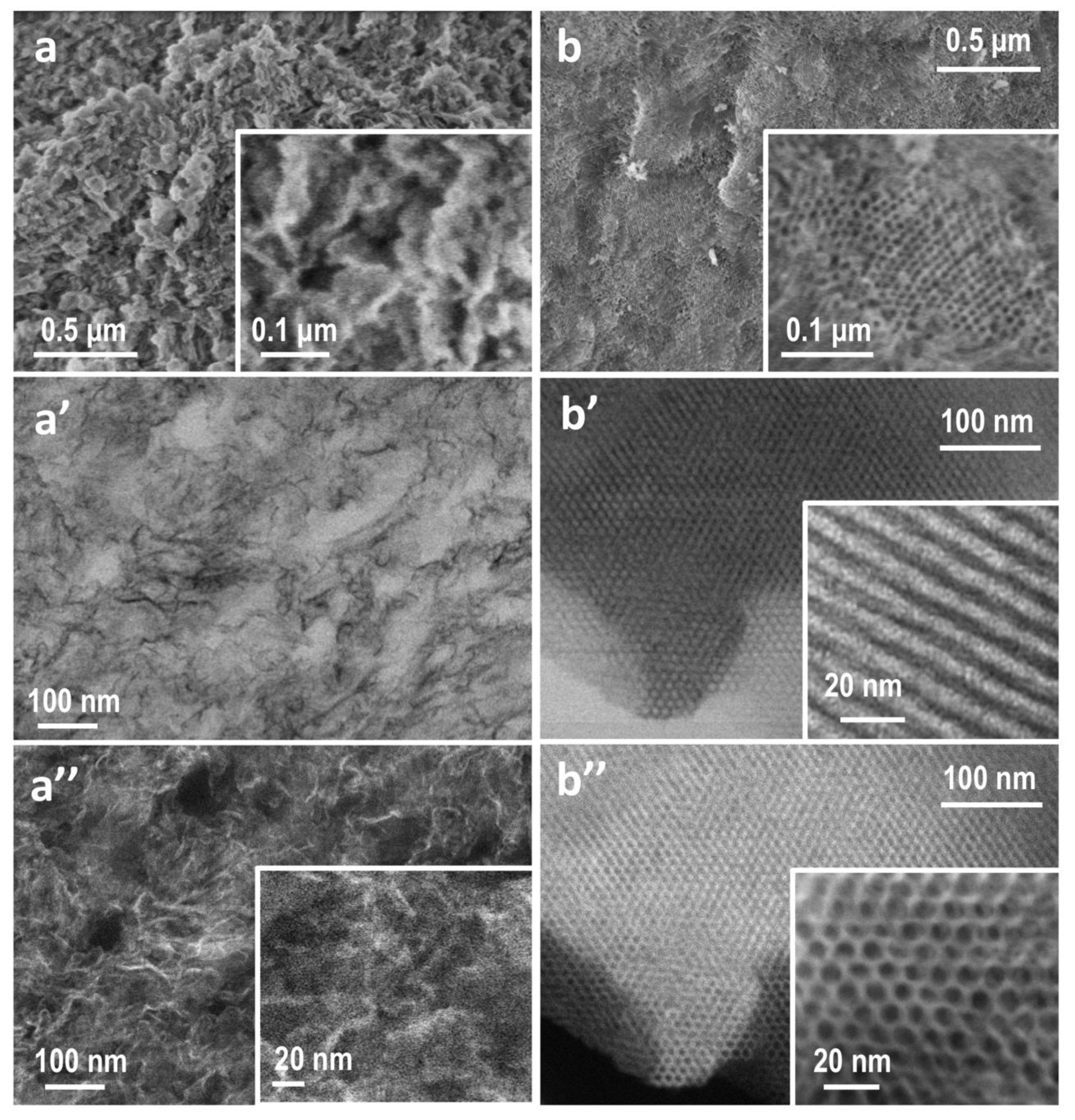 Molecules 24 04107 g002