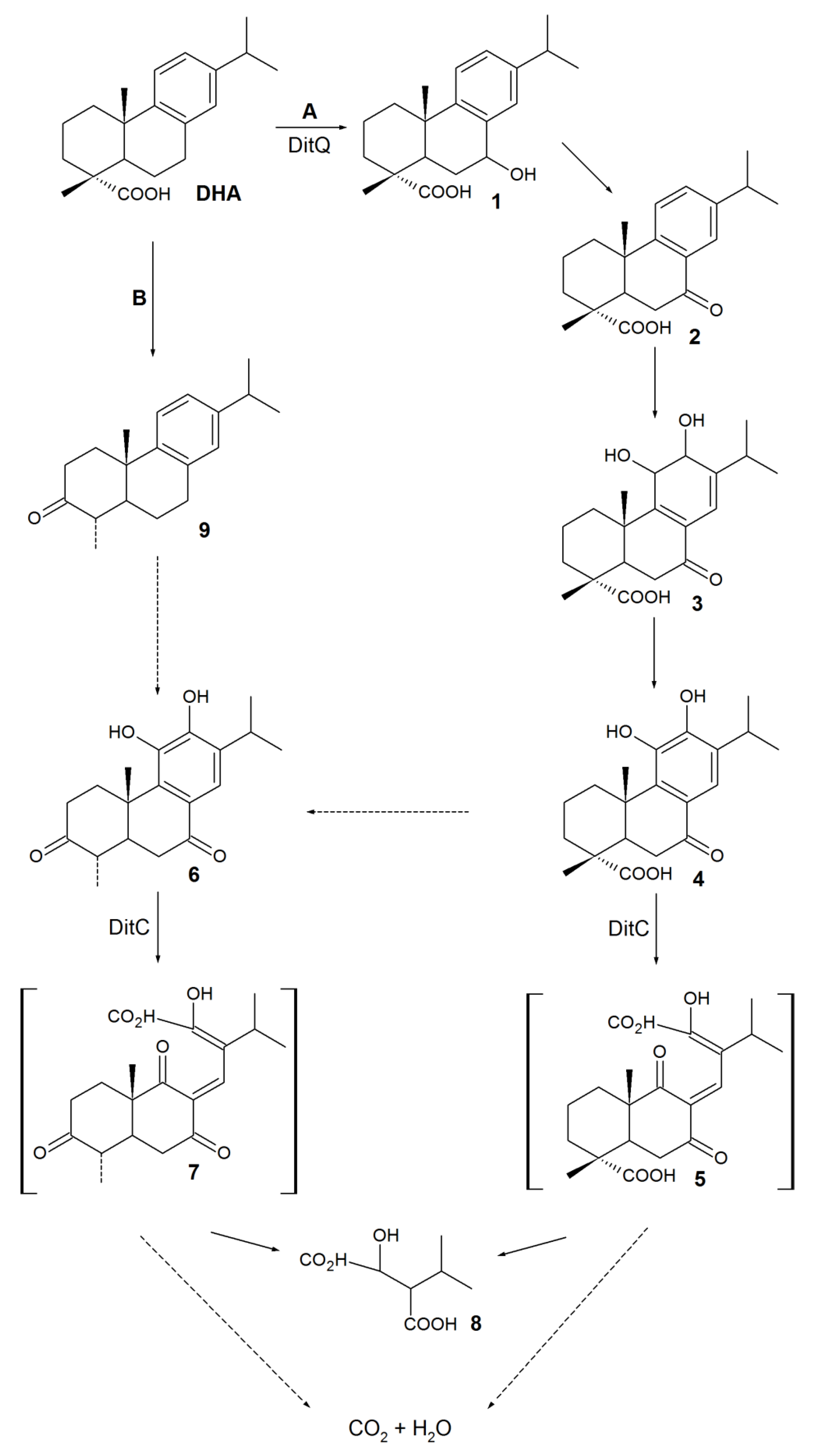 Molecules 24 04121 sch001