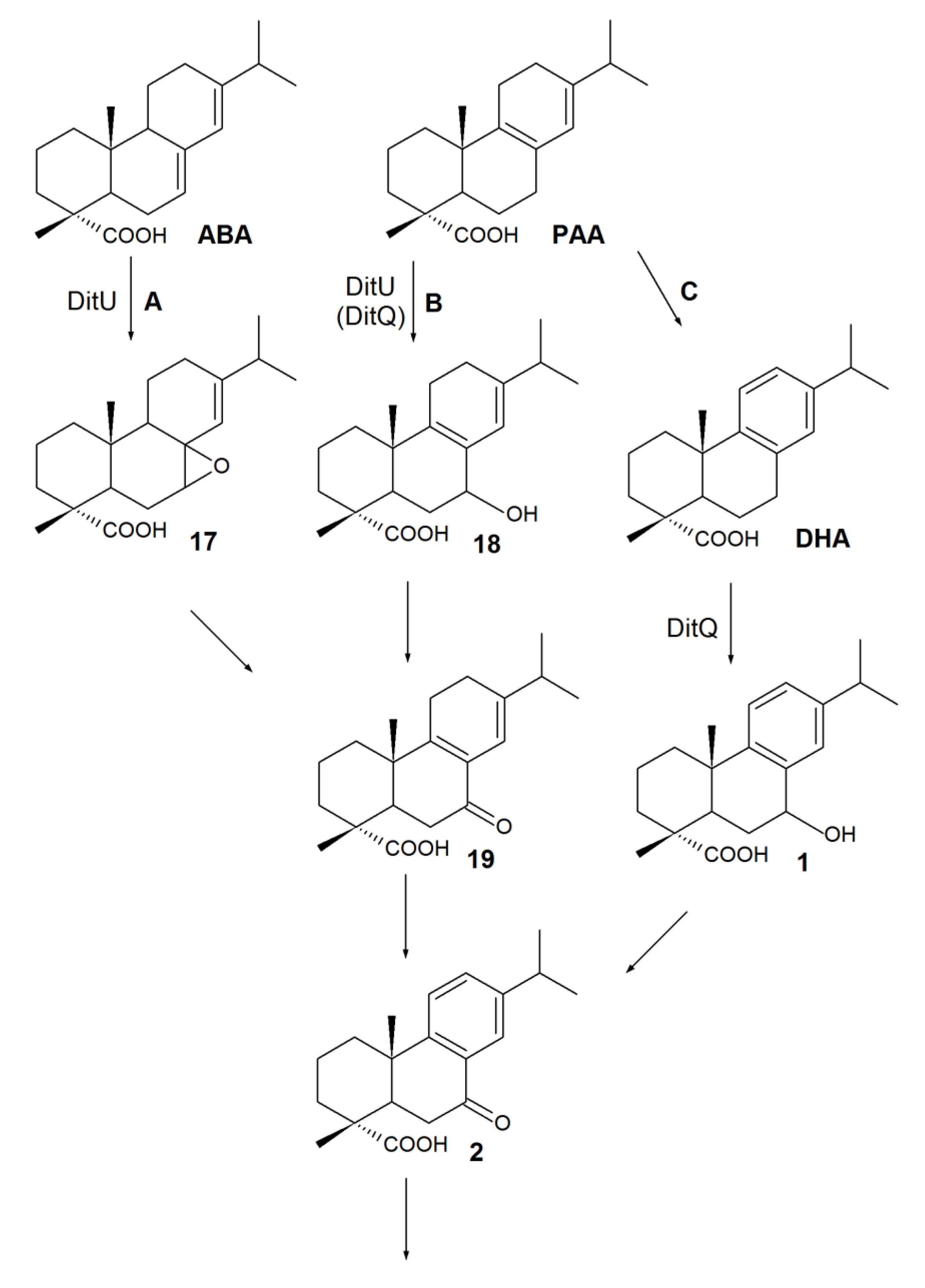 Molecules 24 04121 sch003