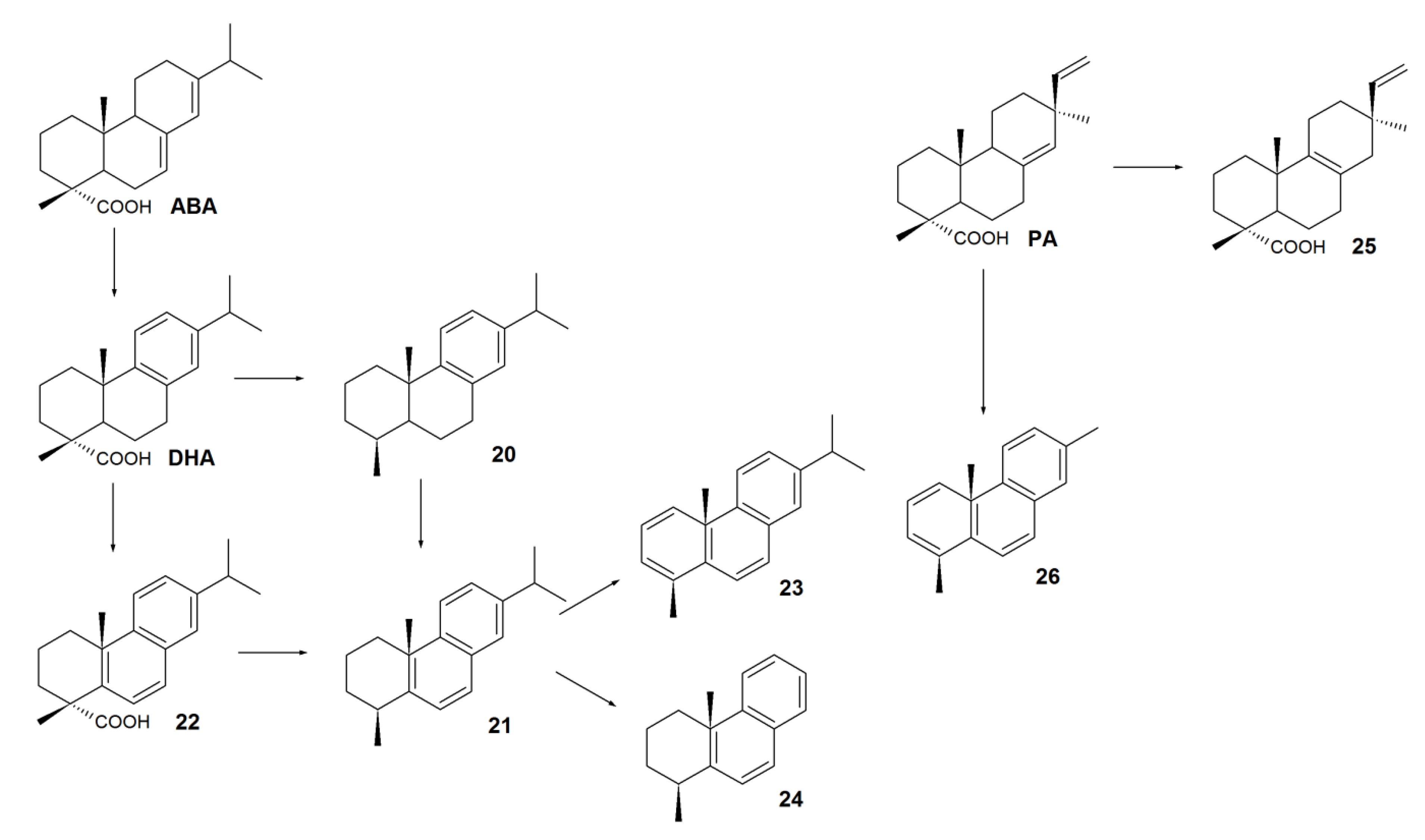 Molecules 24 04121 sch004