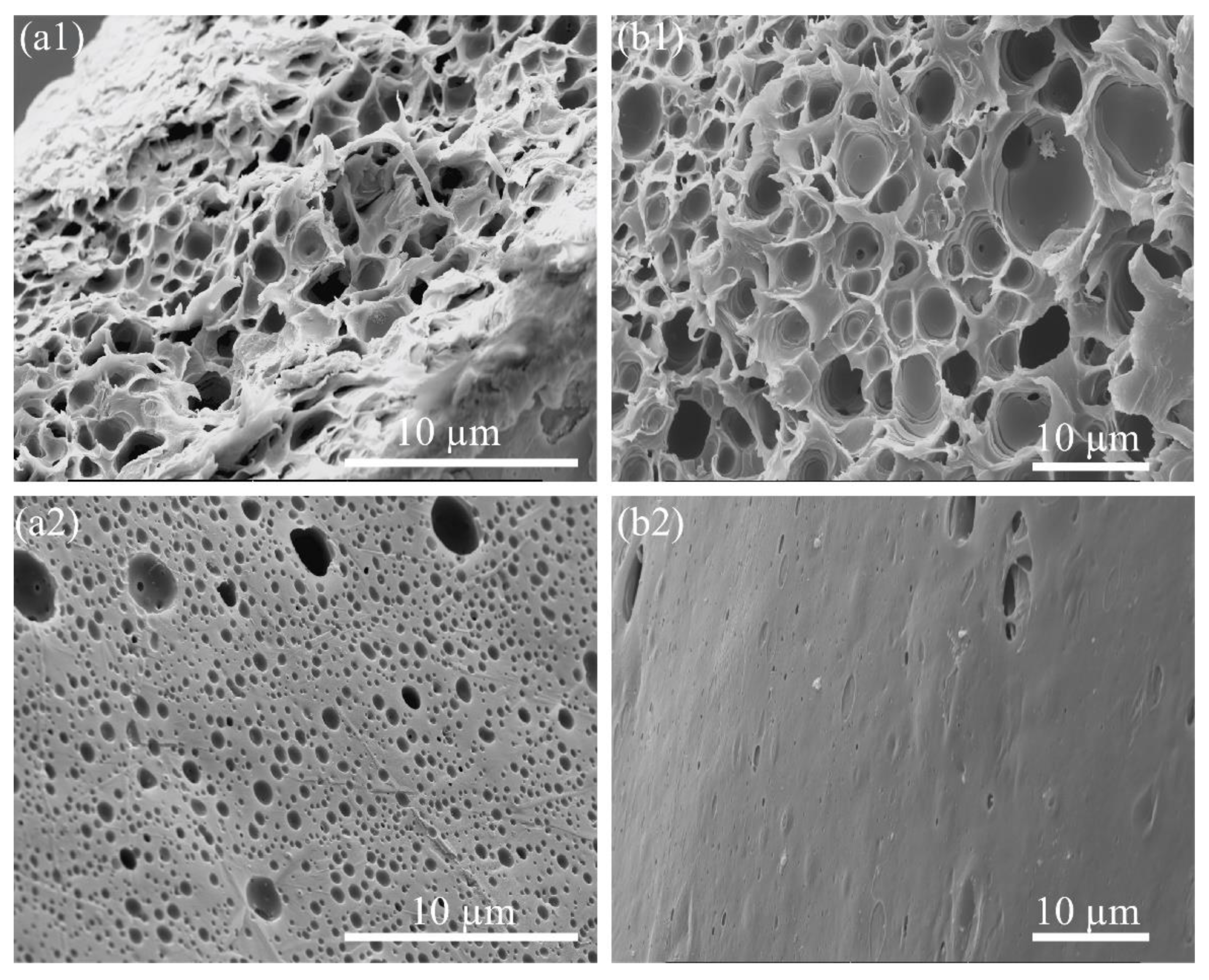 Molecules | Free Full-Text | Fabricating Fibers of a Porous-Polystyrene  Shell and Particle-Loaded Core | HTML