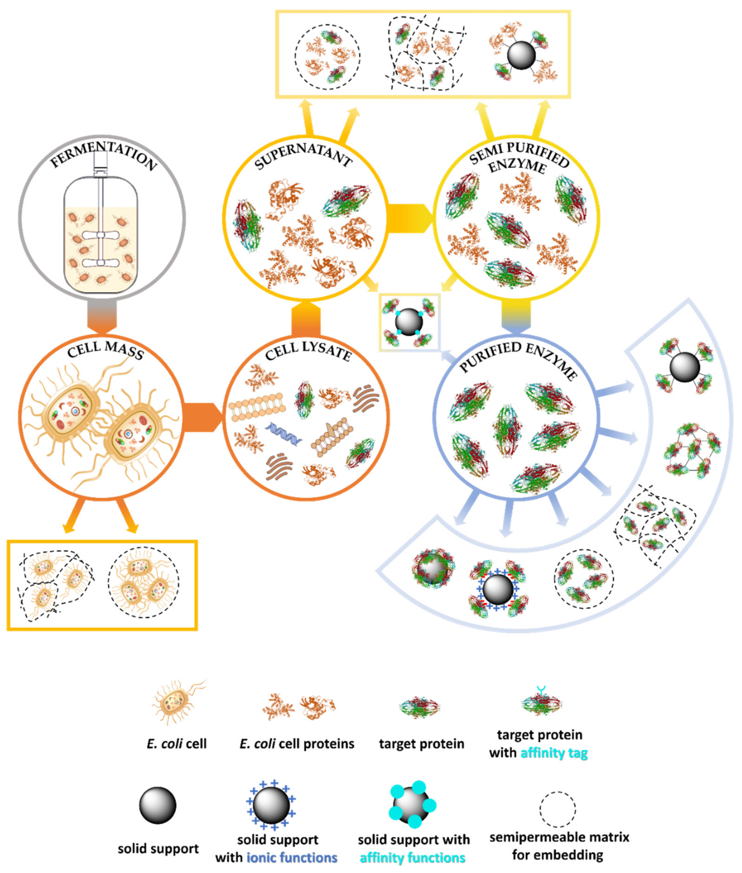 Molecules 24 04146 g001