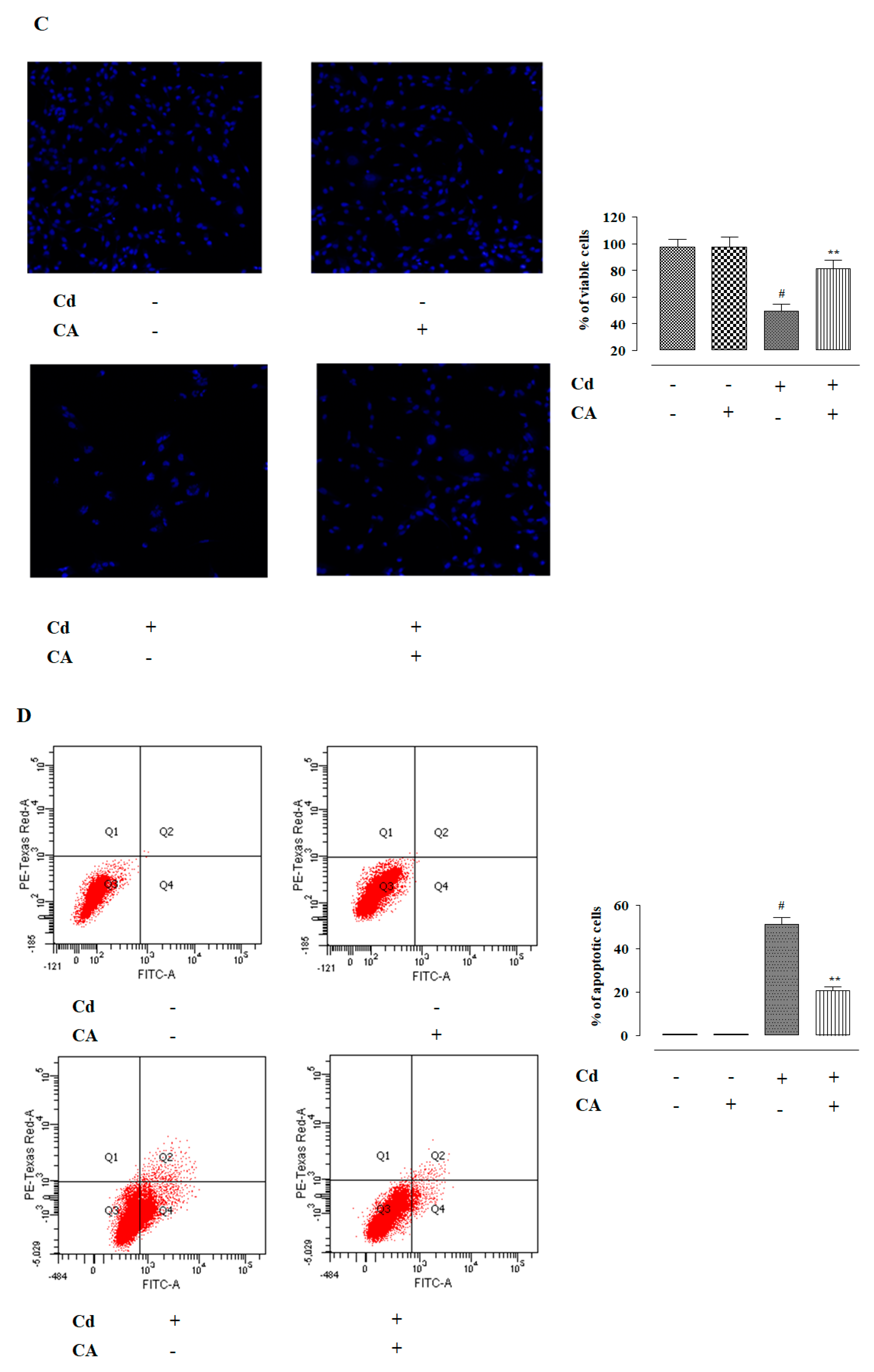 Molecules 24 04176 g001b Molecules 24 04176 g001b