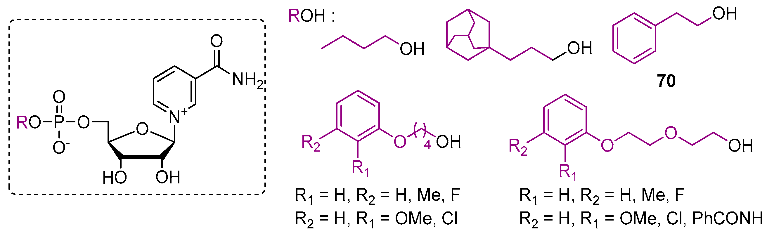 Molecules 24 04187 g016