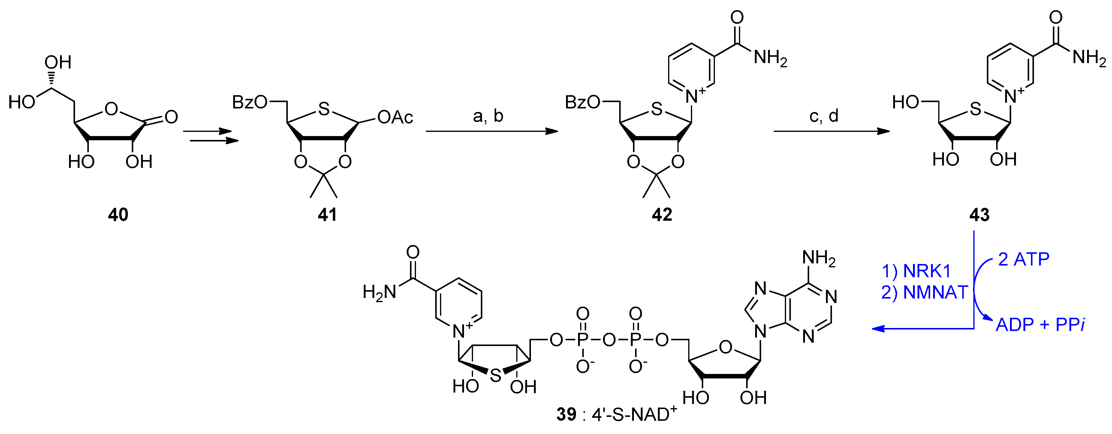 Molecules 24 04187 sch004